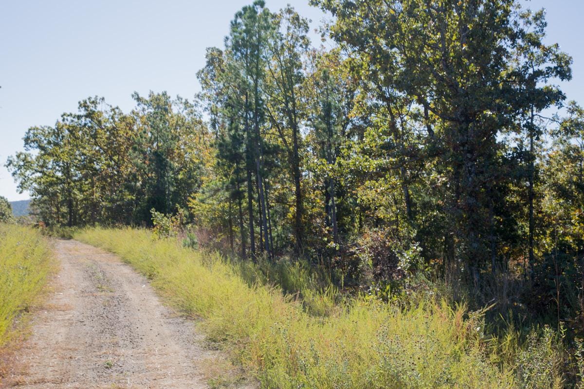 Stone Creek Phase I Tract 179 photo 12