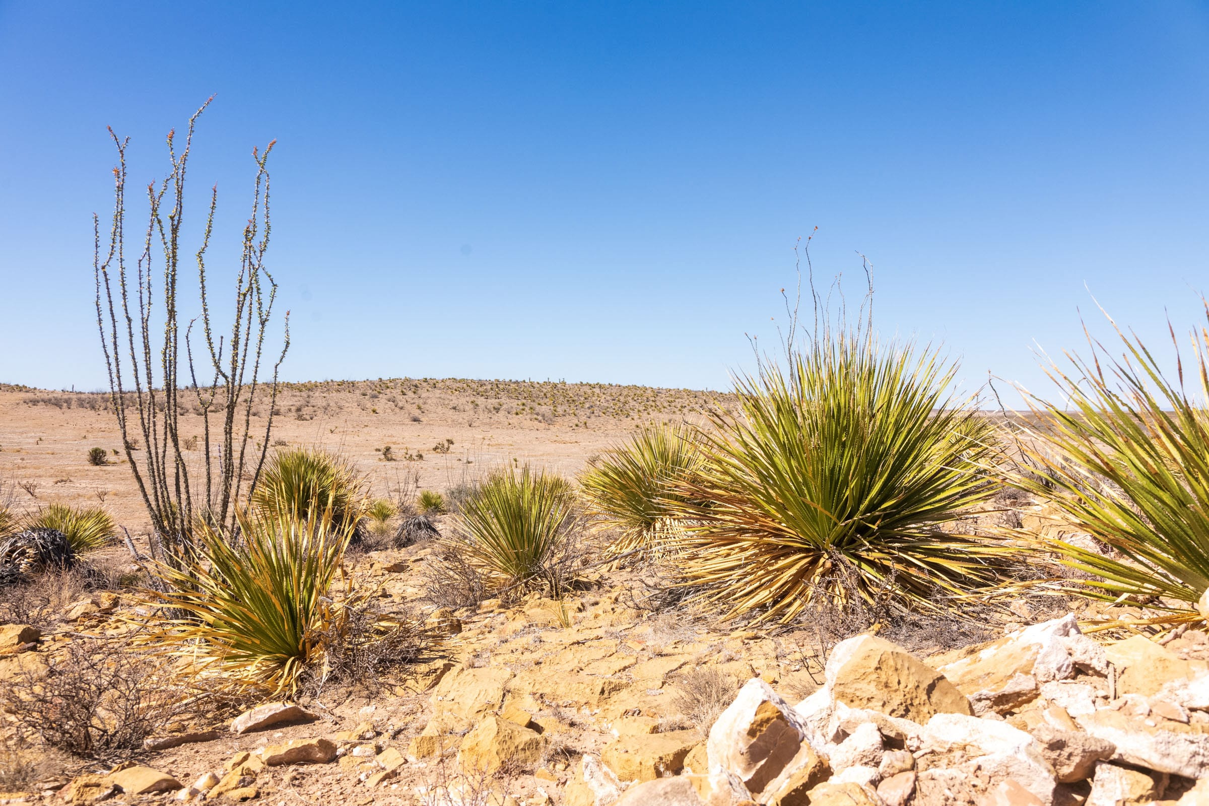 Sunrise Ranches Phase II Tract 30 photo 11