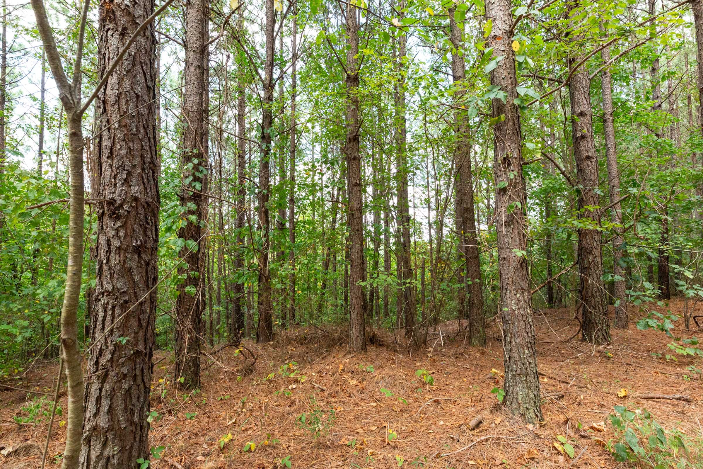 Harvest Ridge Tract 10 photo 1