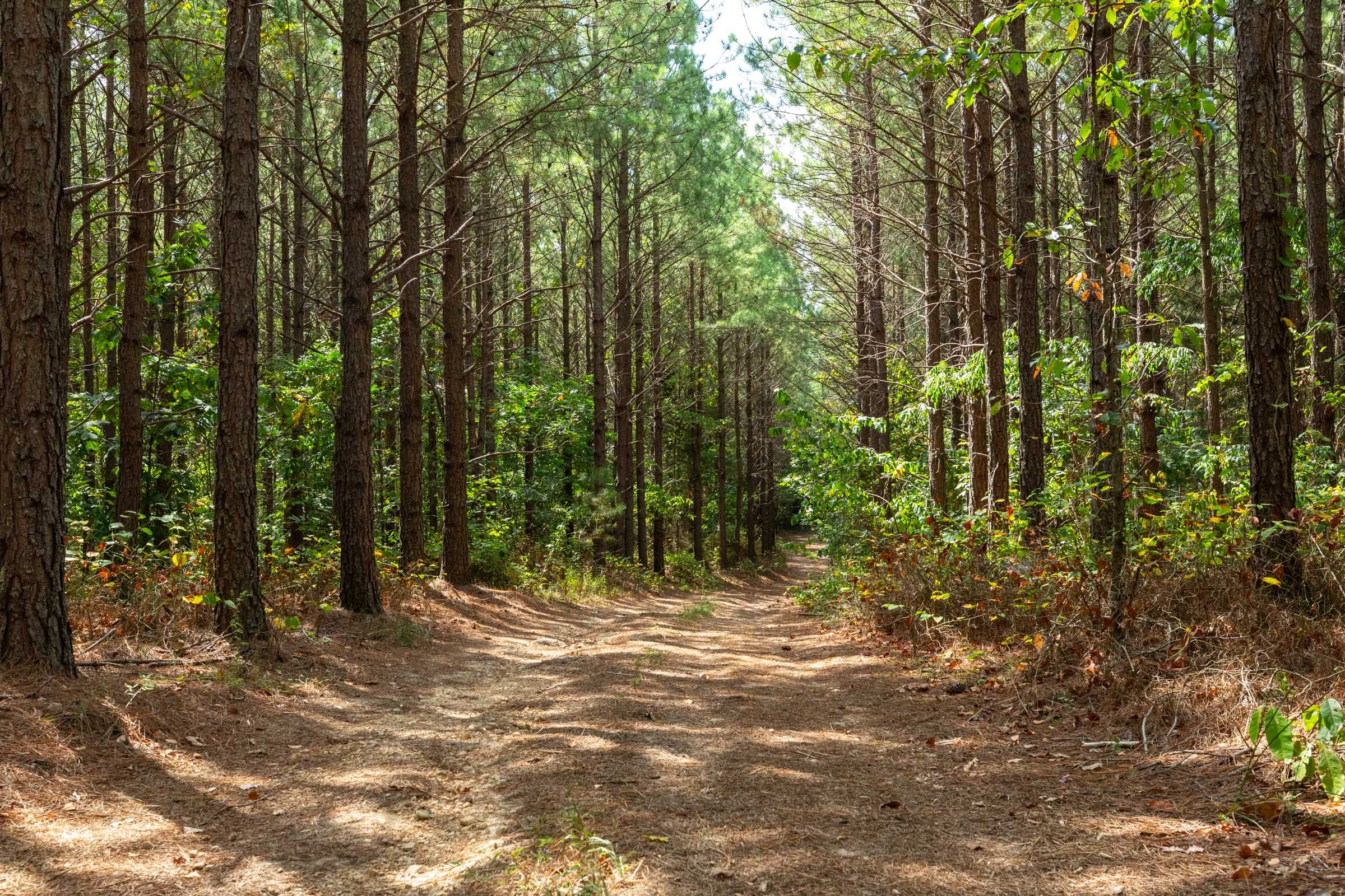 Harvest Ridge Tract 10 photo 2