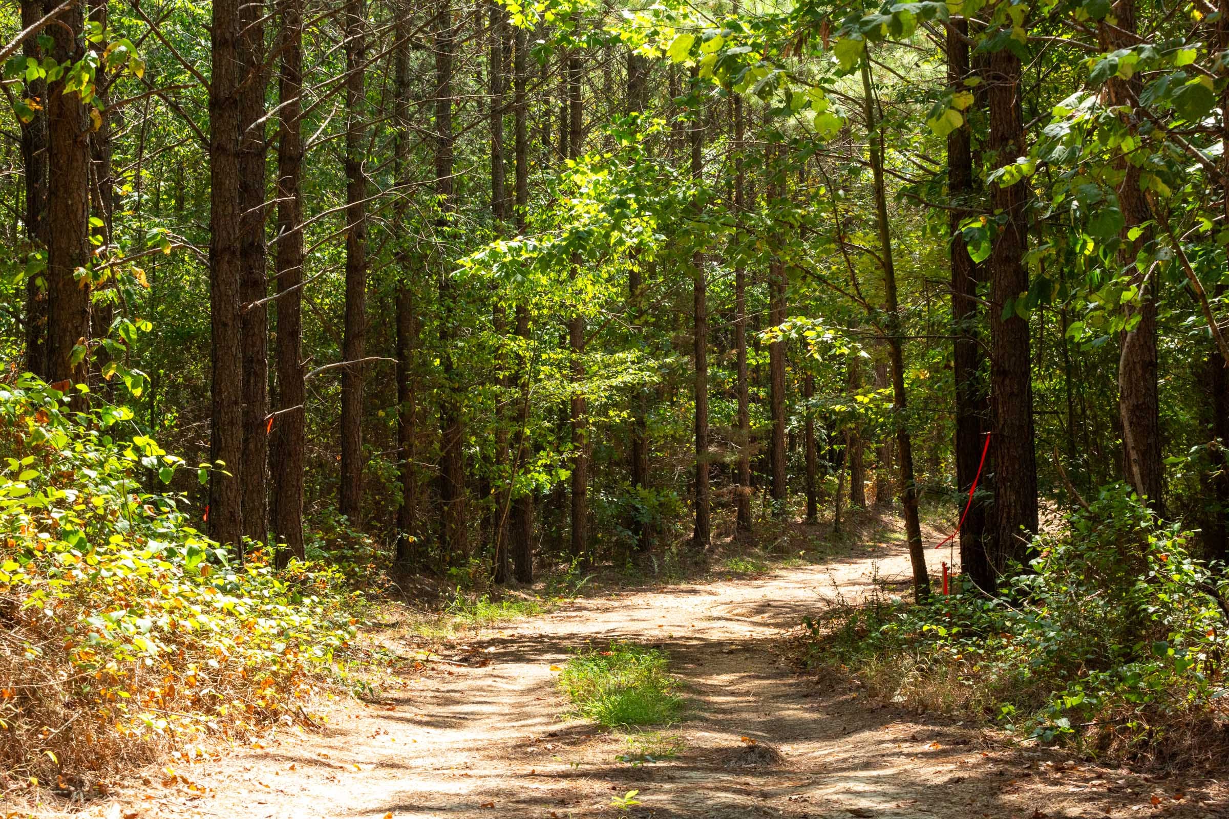 Harvest Ridge Tract 10 photo 7
