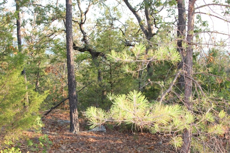 Lake View Ranch Tract 35 photo 1