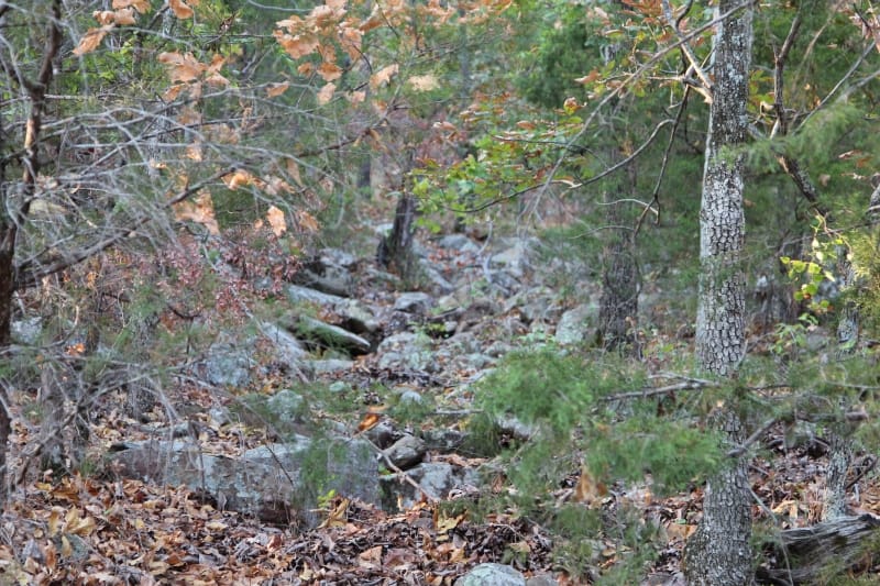 Lake View Ranch Tract 35 photo 2