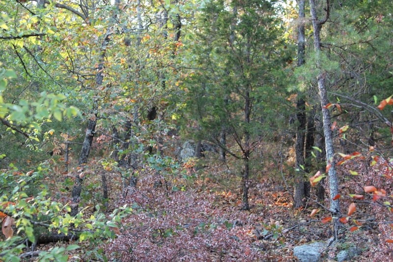 Lake View Ranch Tract 35 photo 3