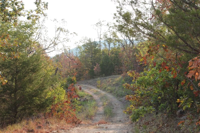 Lake View Ranch Tract 35 photo 4