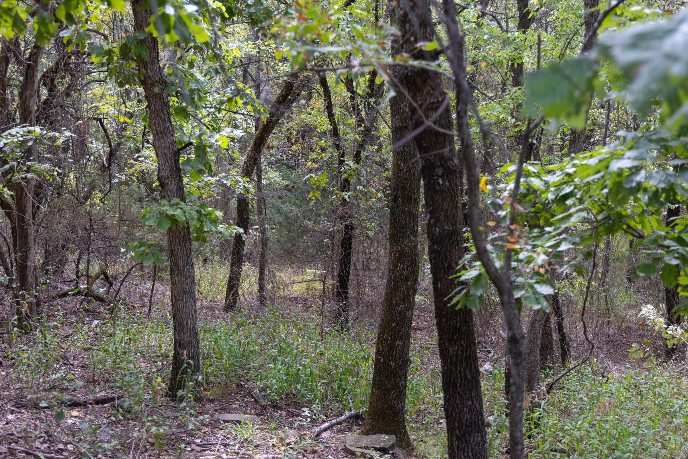 Reserves At Cattail Cove Phase II Tract 56 photo 9