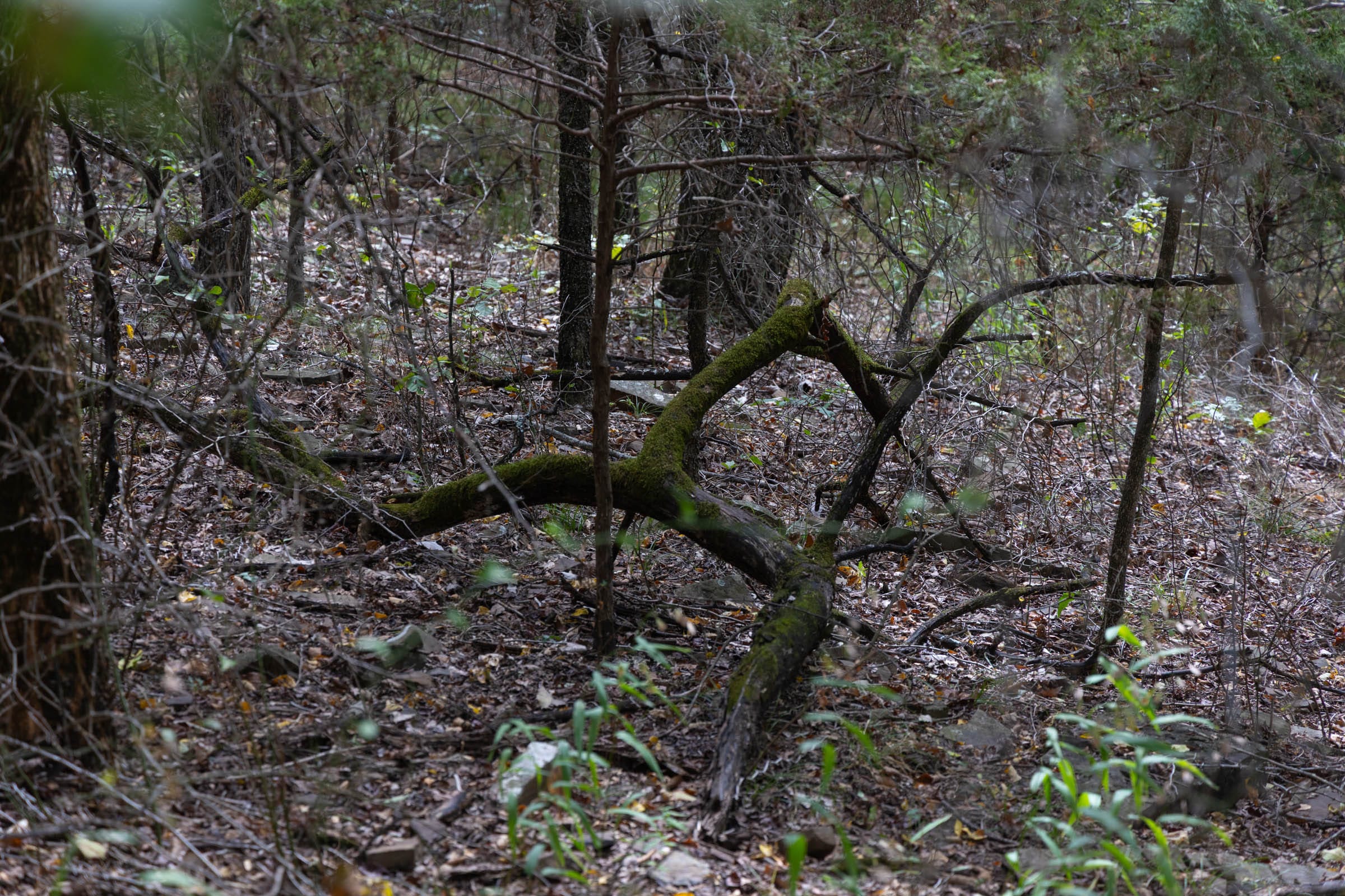Reserves At Cattail Cove Phase II Tract 56 photo 8