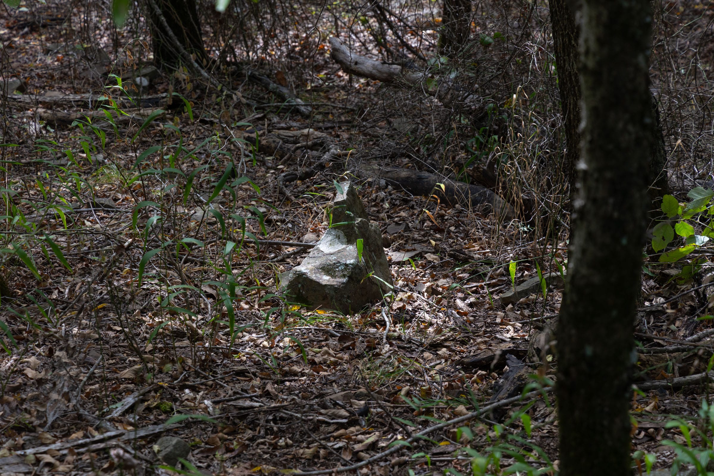 Reserves At Cattail Cove Phase II Tract 56 photo 3