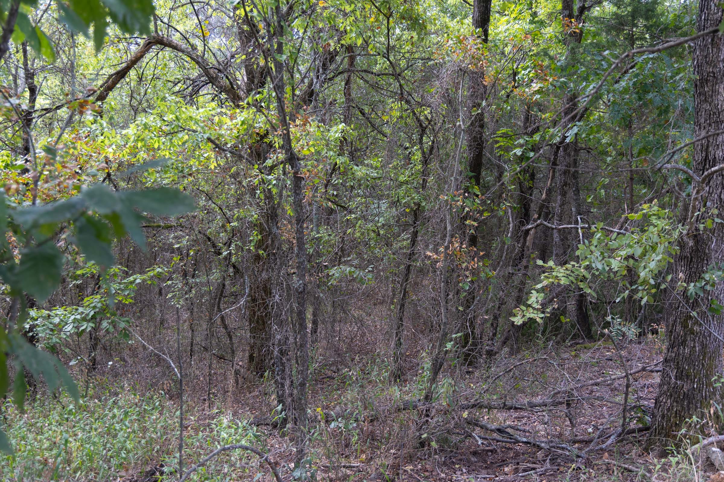 Reserves At Cattail Cove Phase II Tract 56 photo 7