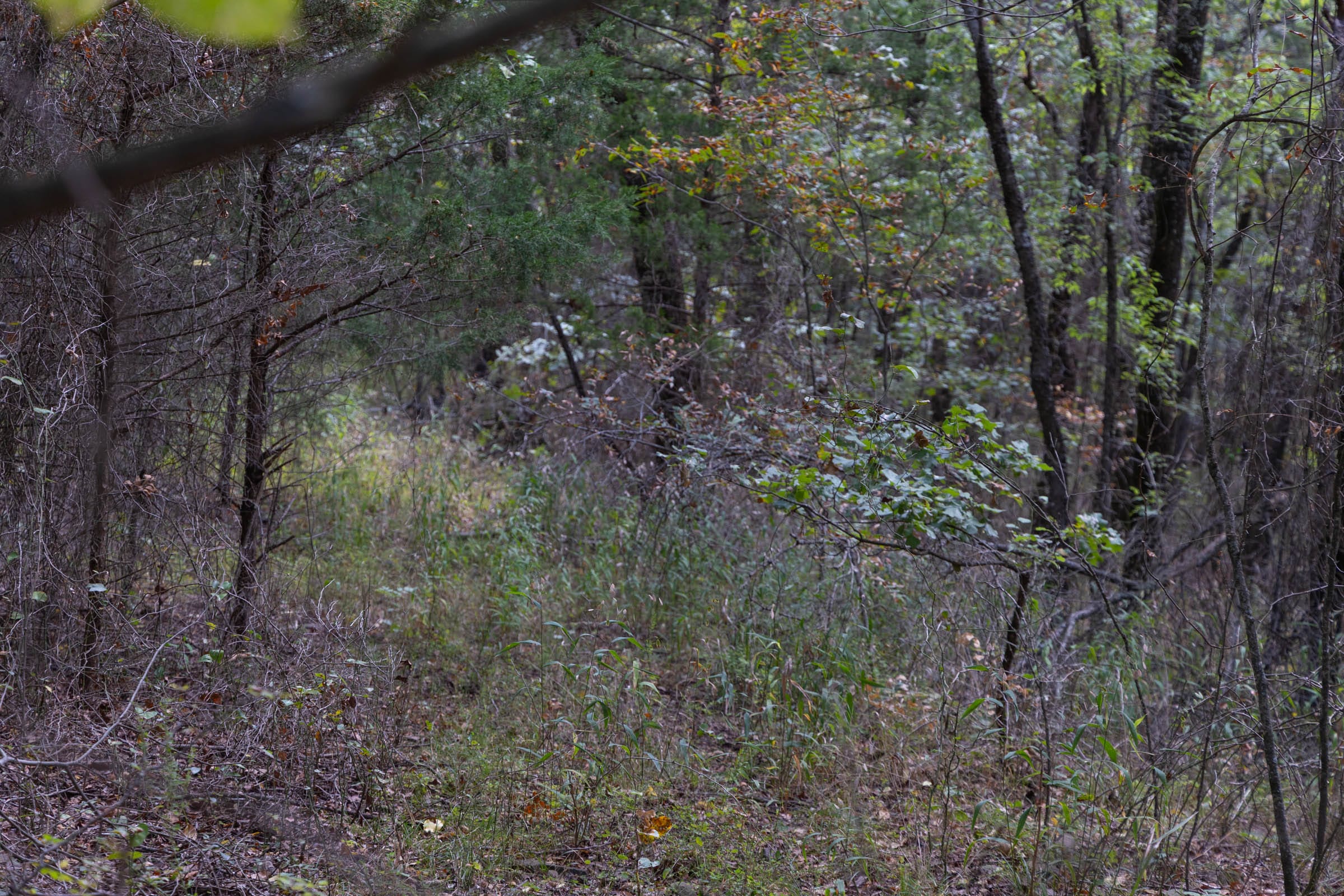 Reserves At Cattail Cove Phase II Tract 56 photo 4