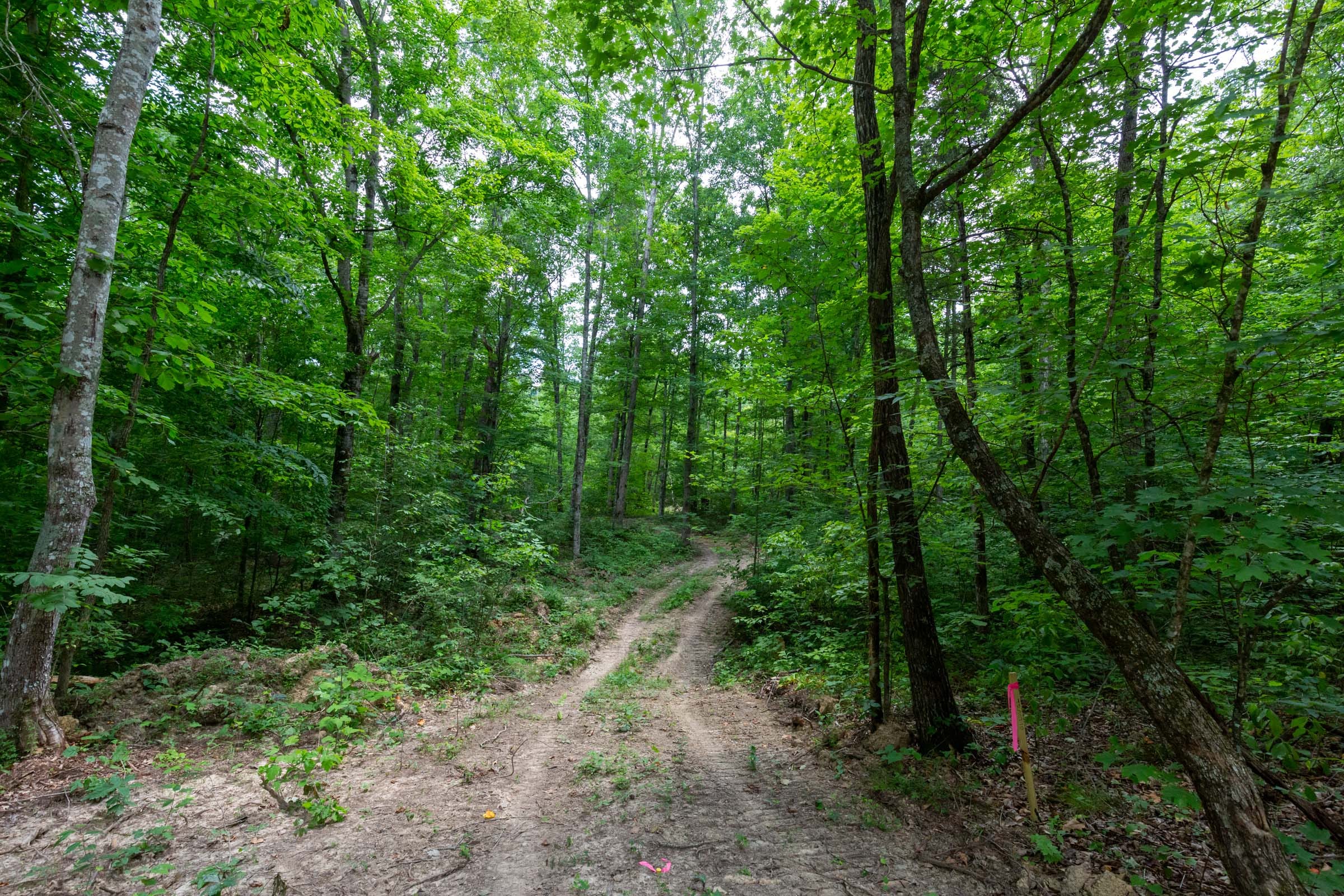 Tucker Hollow Tract 14 photo 5