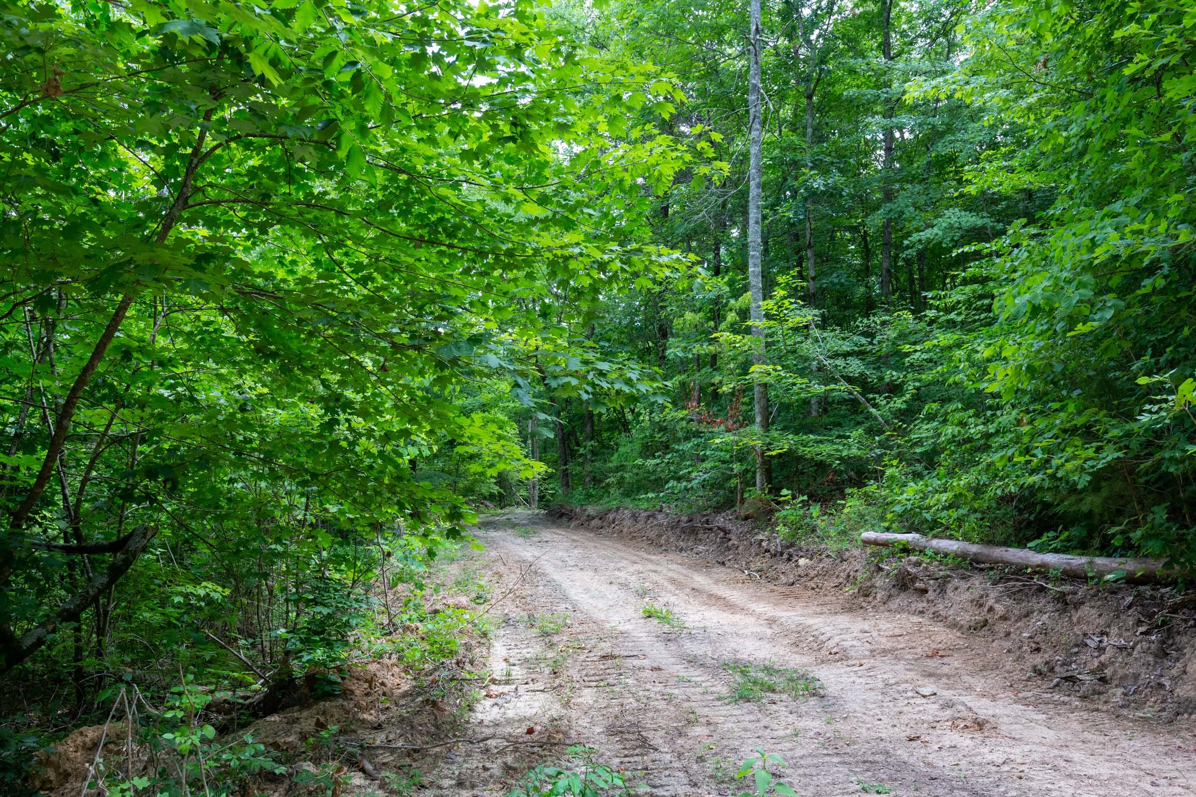 Tucker Hollow Tract 14 photo 11