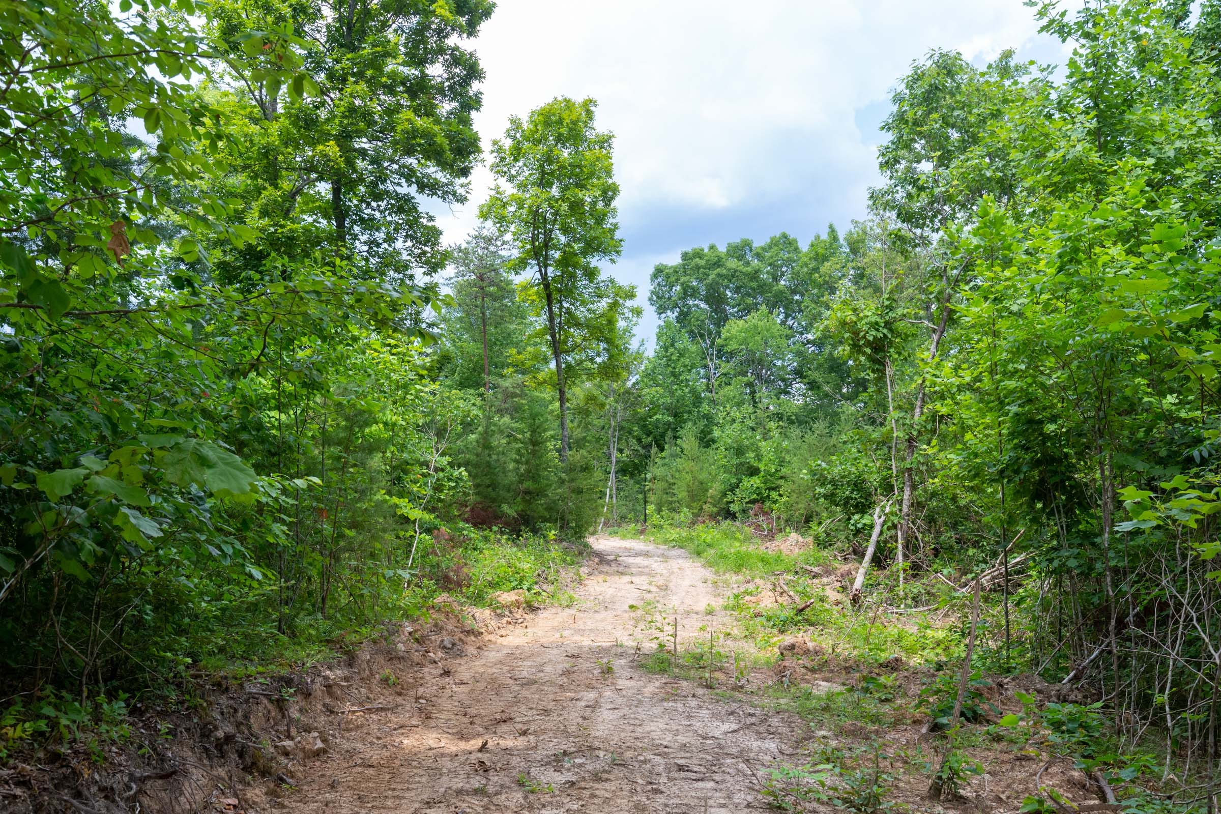 Tucker Hollow Tract 14 photo 4
