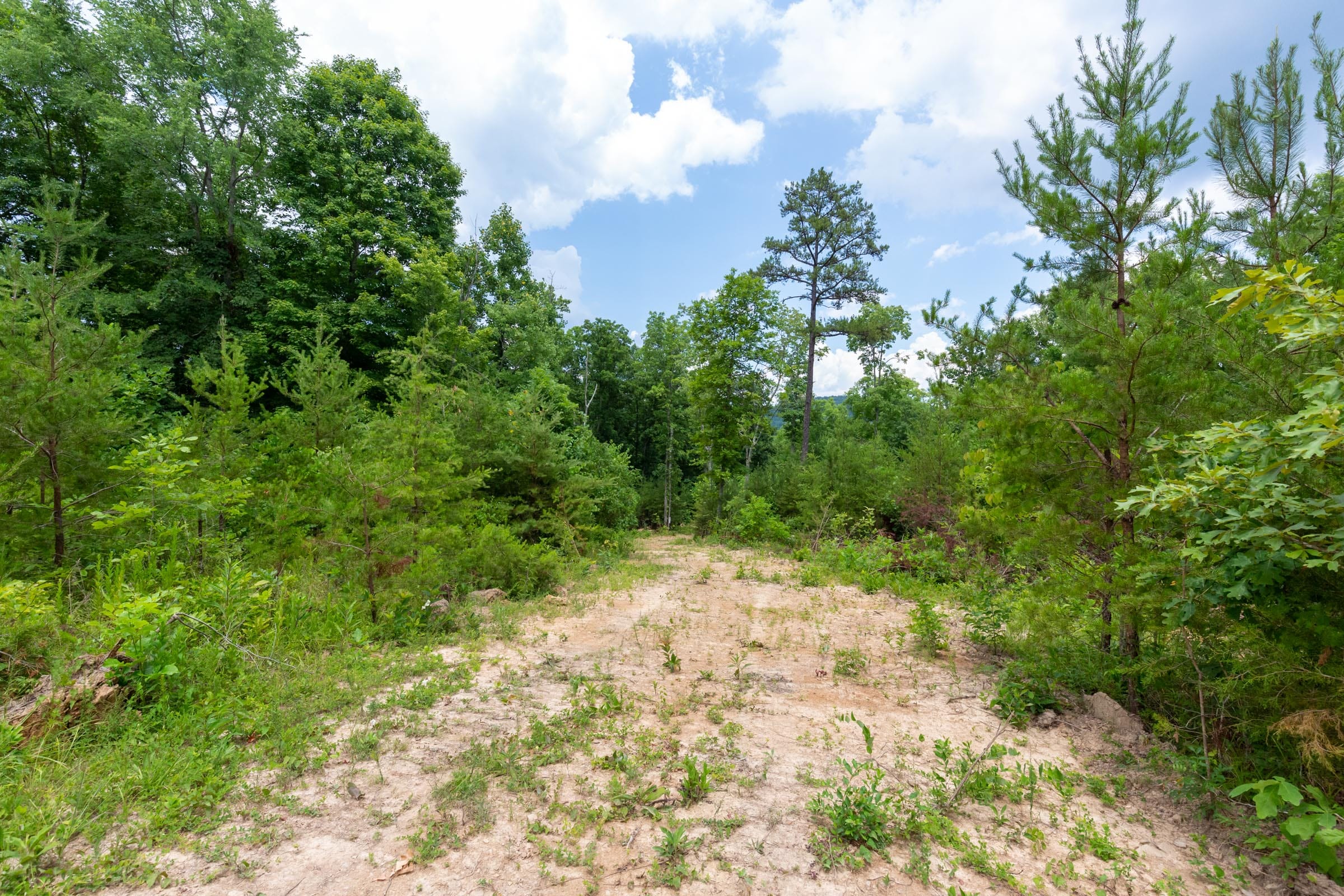 Tucker Hollow Tract 14 photo 14
