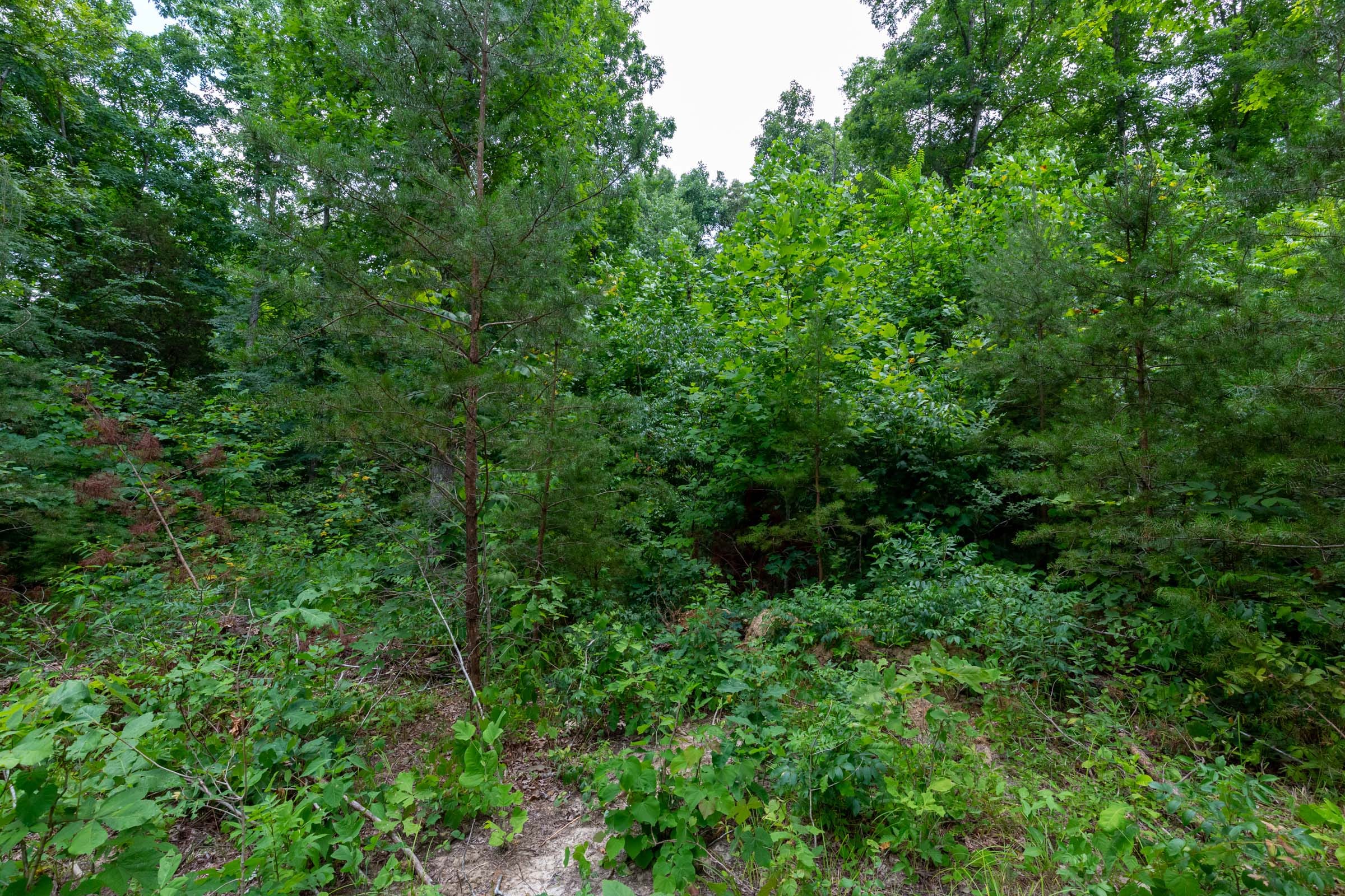 Tucker Hollow Tract 14 photo 13