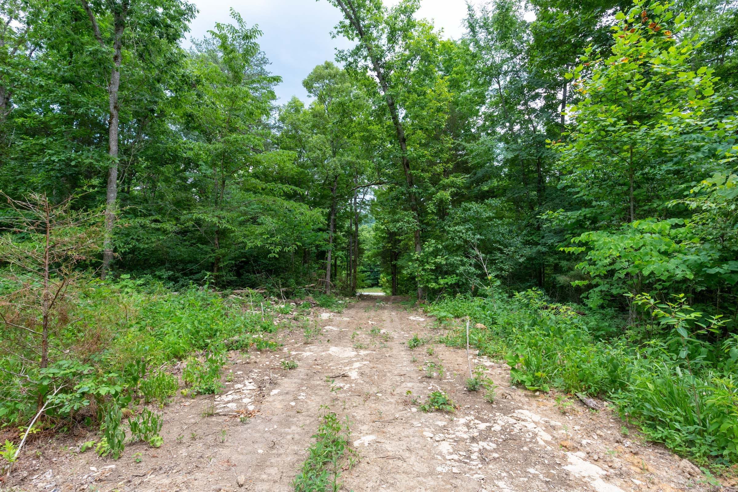 Tucker Hollow Tract 14 photo 8