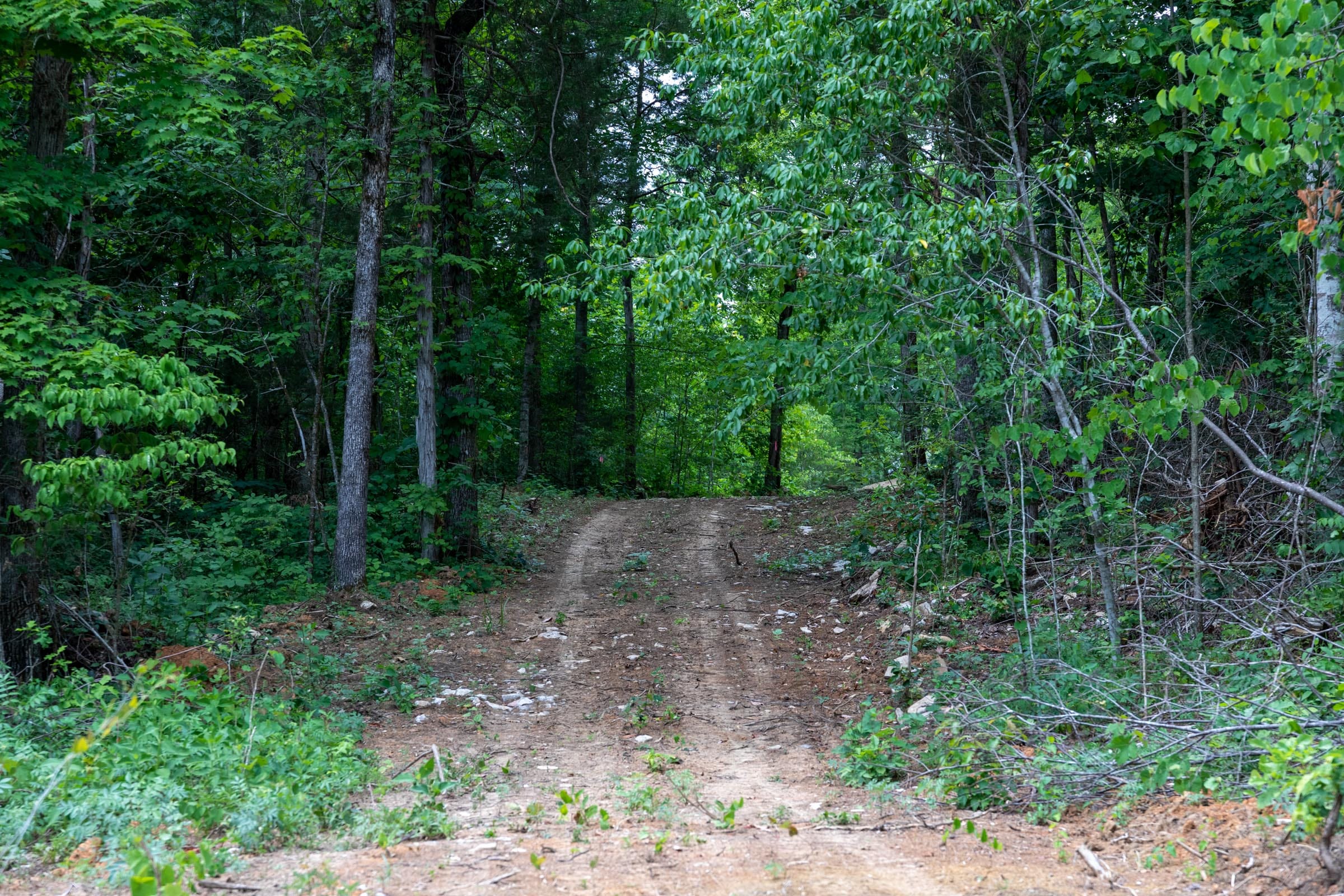 Tucker Hollow Tract 14 photo 17