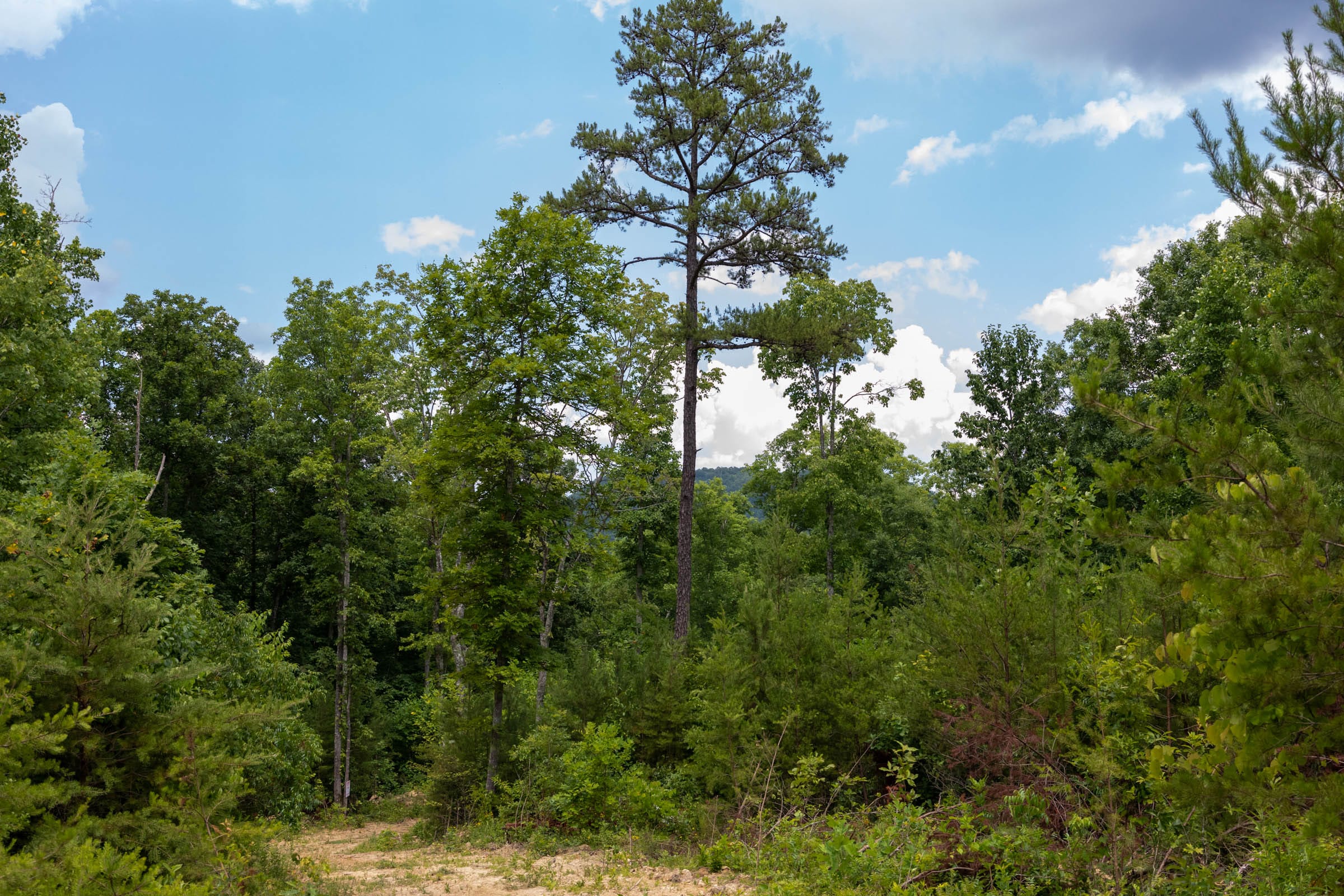 Tucker Hollow Tract 14 photo 19