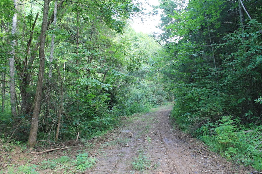 Cumberland Ridge Ranch Tract 9 photo 8