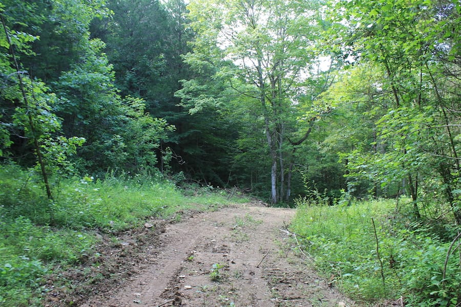 Cumberland Ridge Ranch Tract 9 photo 9
