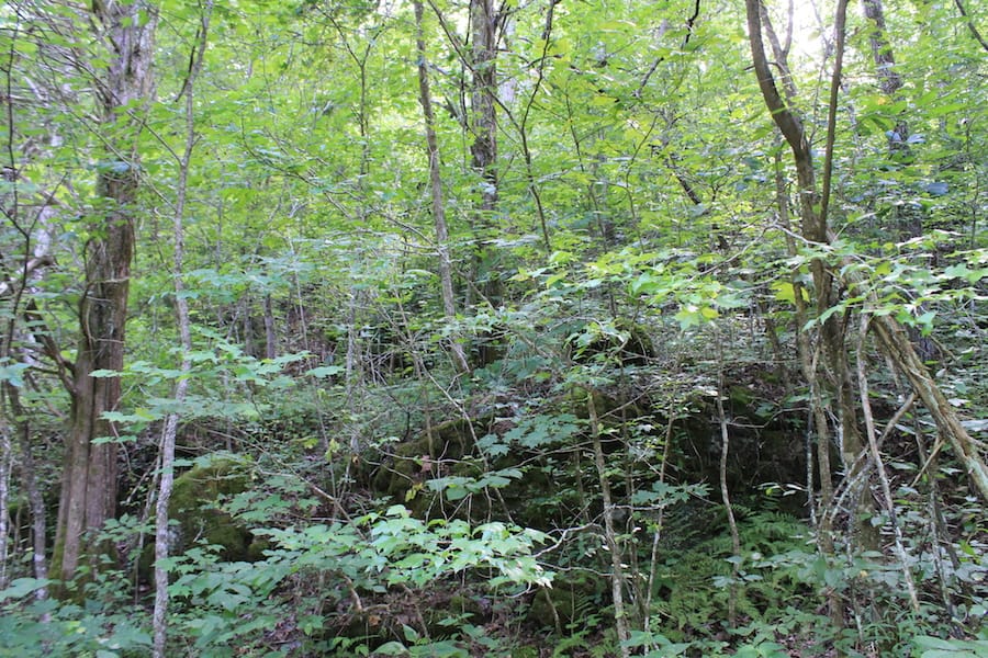 Cumberland Ridge Ranch Tract 9 photo 10