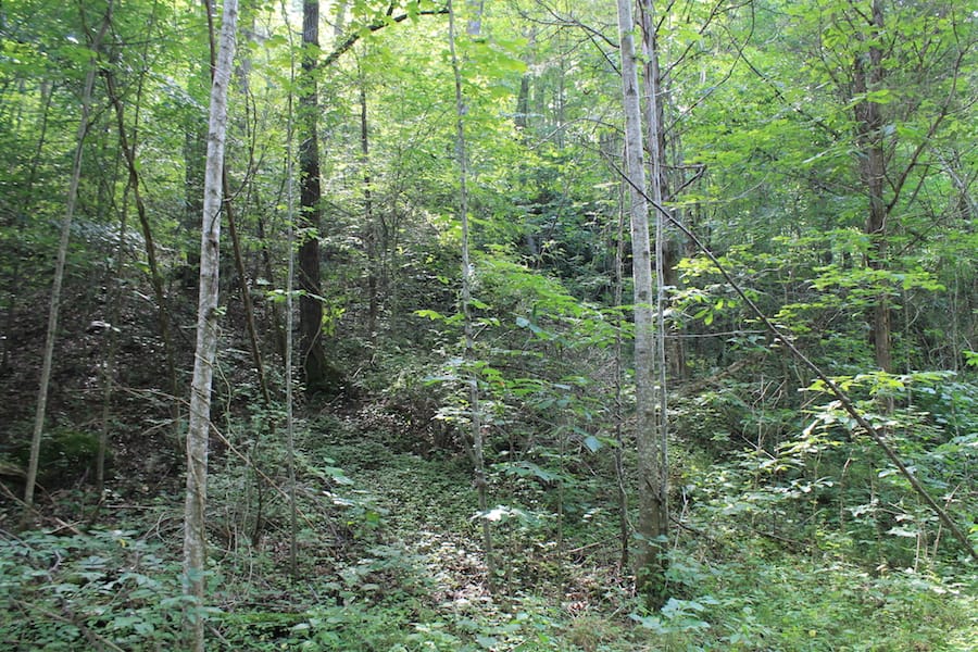 Cumberland Ridge Ranch Tract 9 photo 13