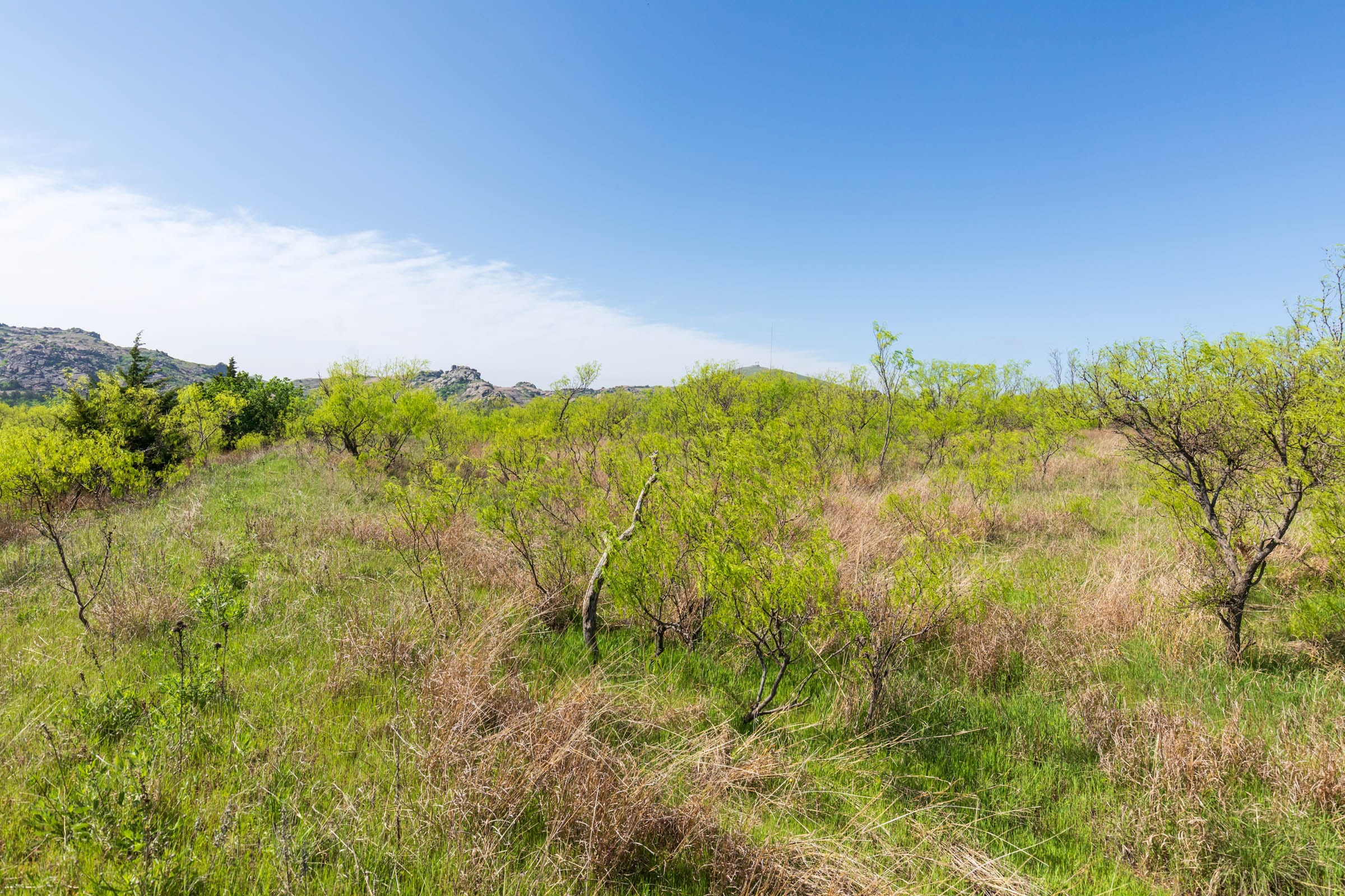 Hackberry Fields Tract 18 photo 4