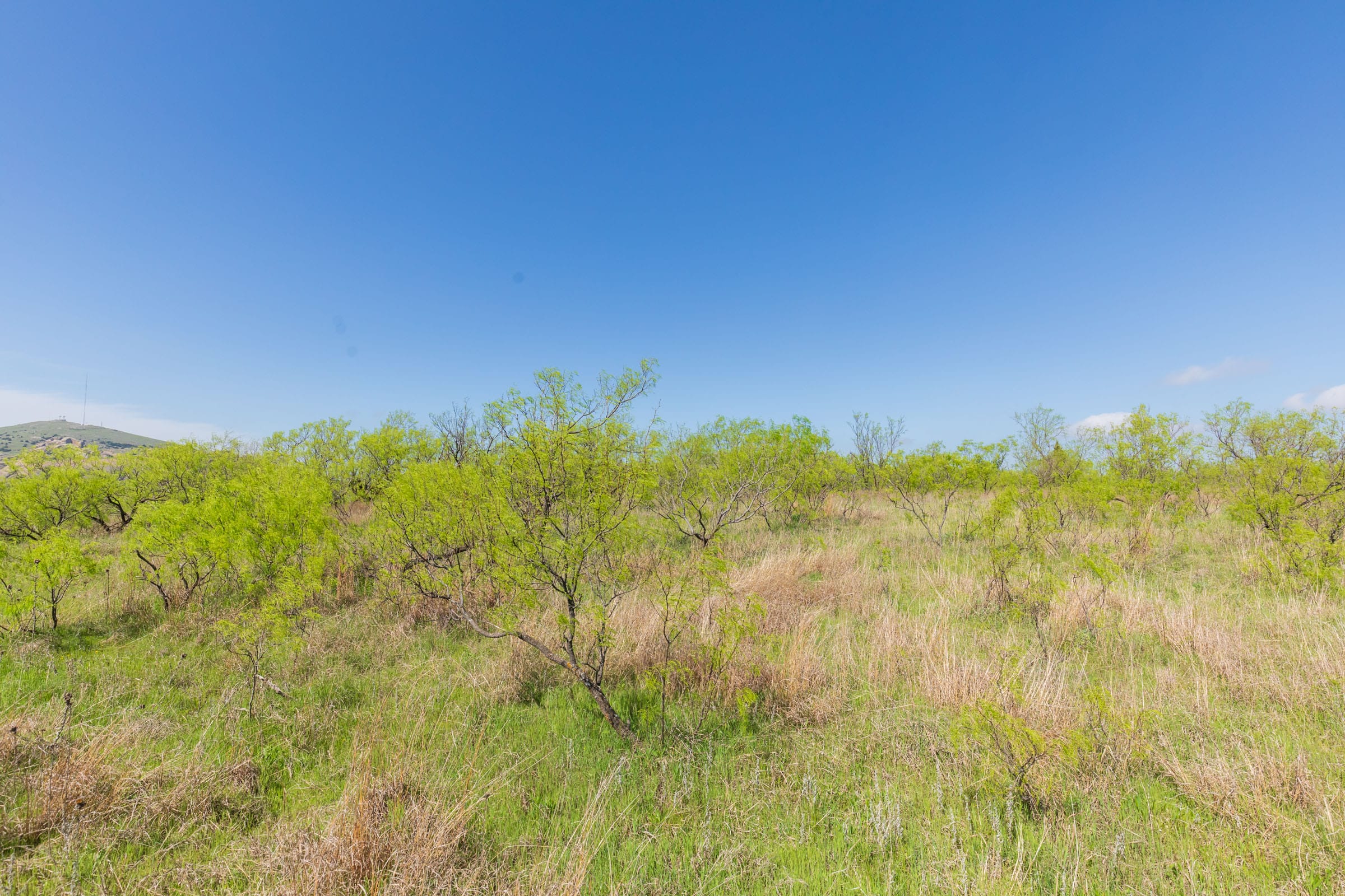 Hackberry Fields Tract 18 photo 3