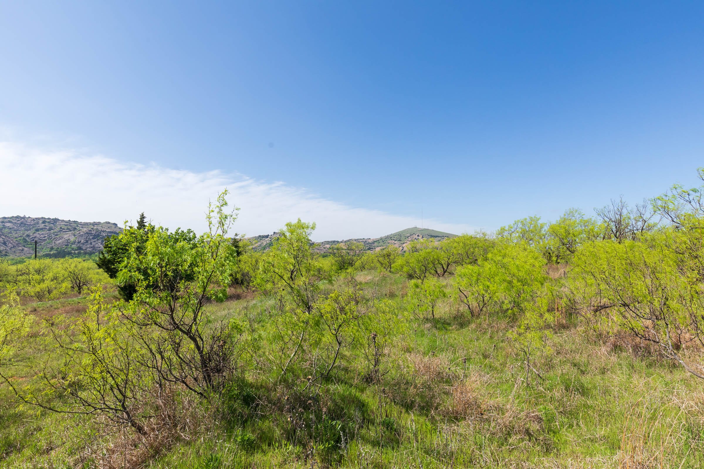 Hackberry Fields Tract 18 photo 5