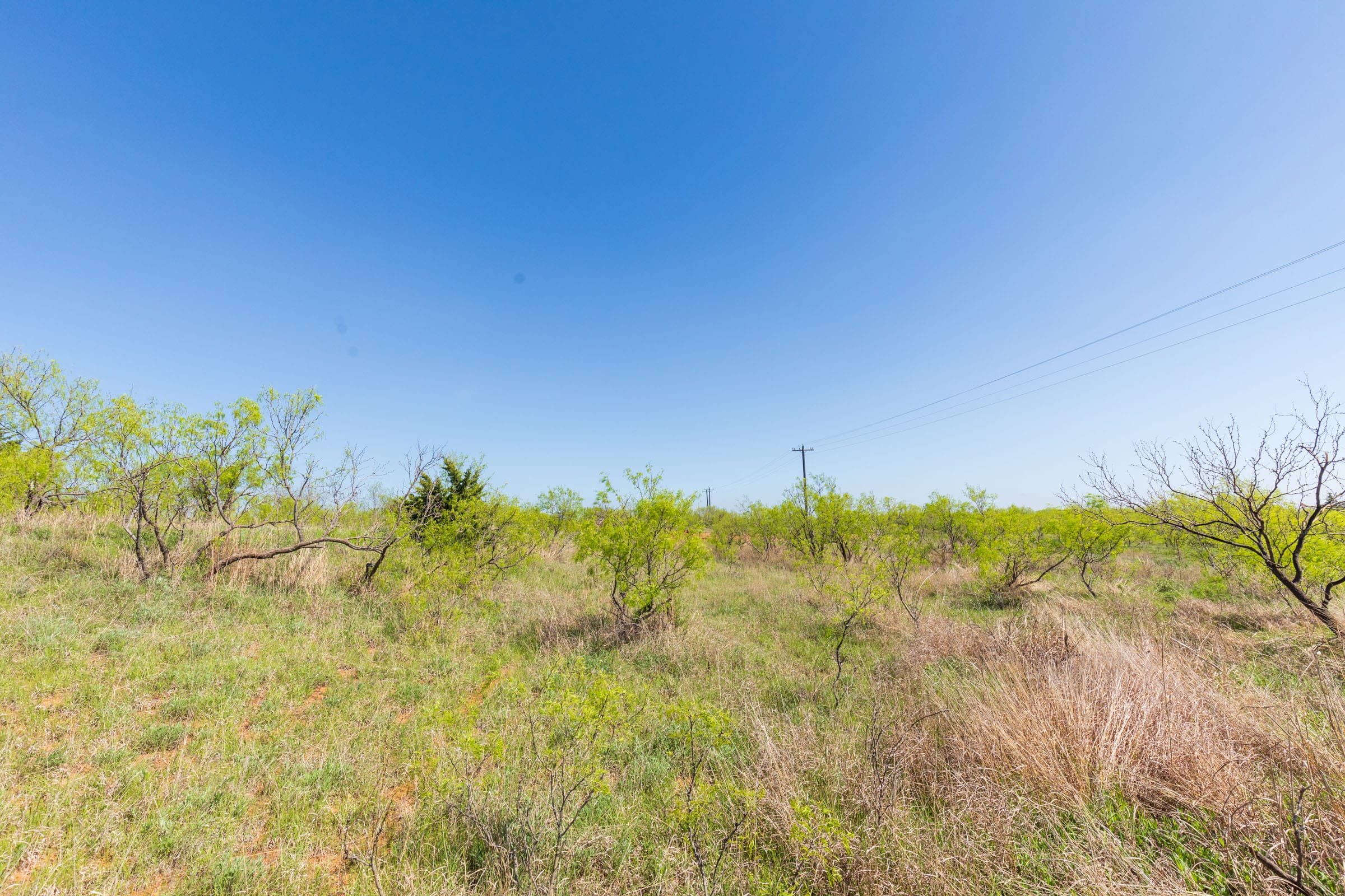 Hackberry Fields Tract 18 photo 6