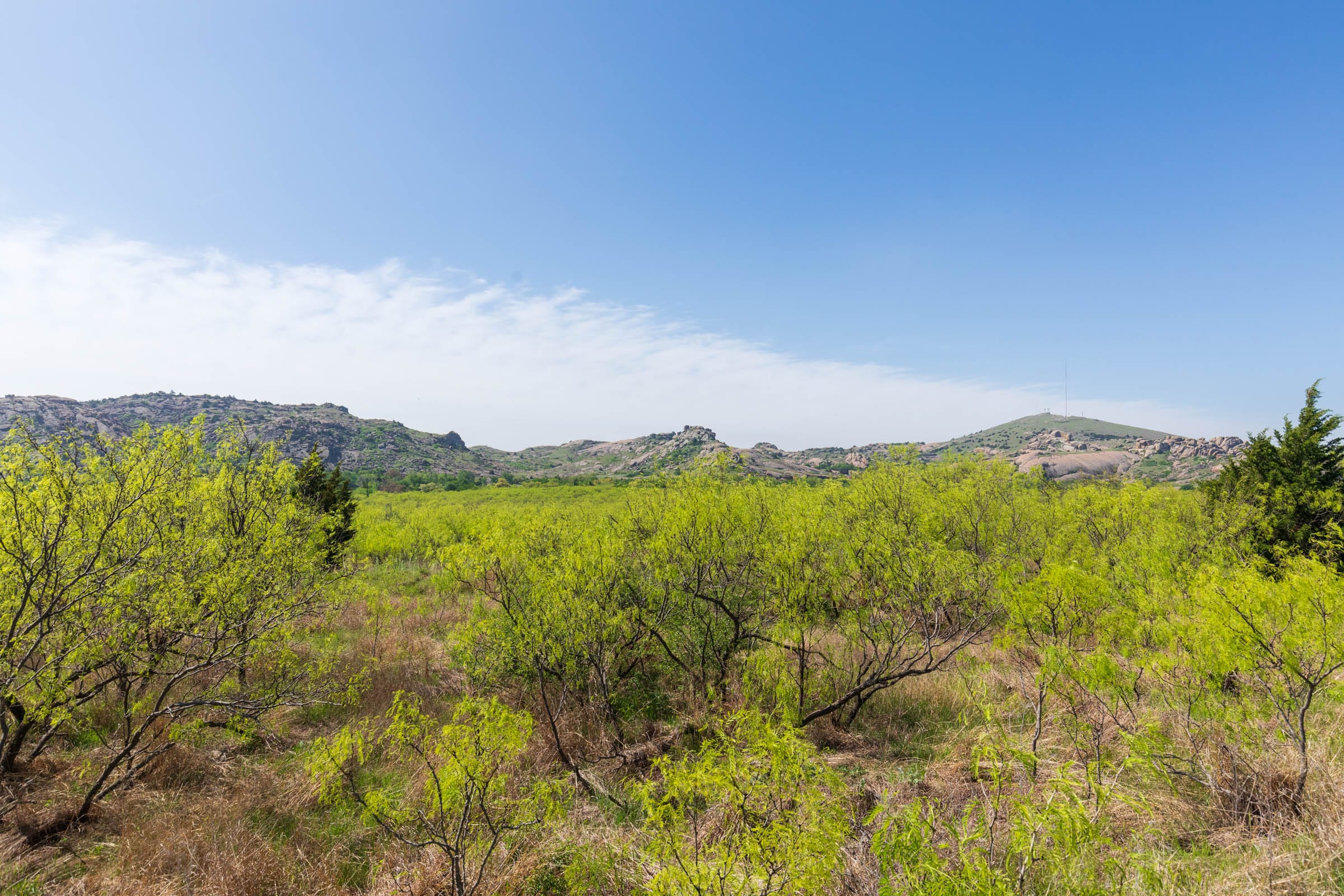 Hackberry Fields Tract 18 photo 11