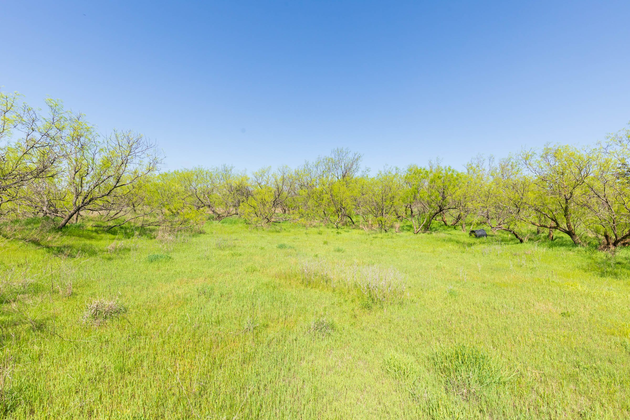 Hackberry Fields Tract 18 photo 10
