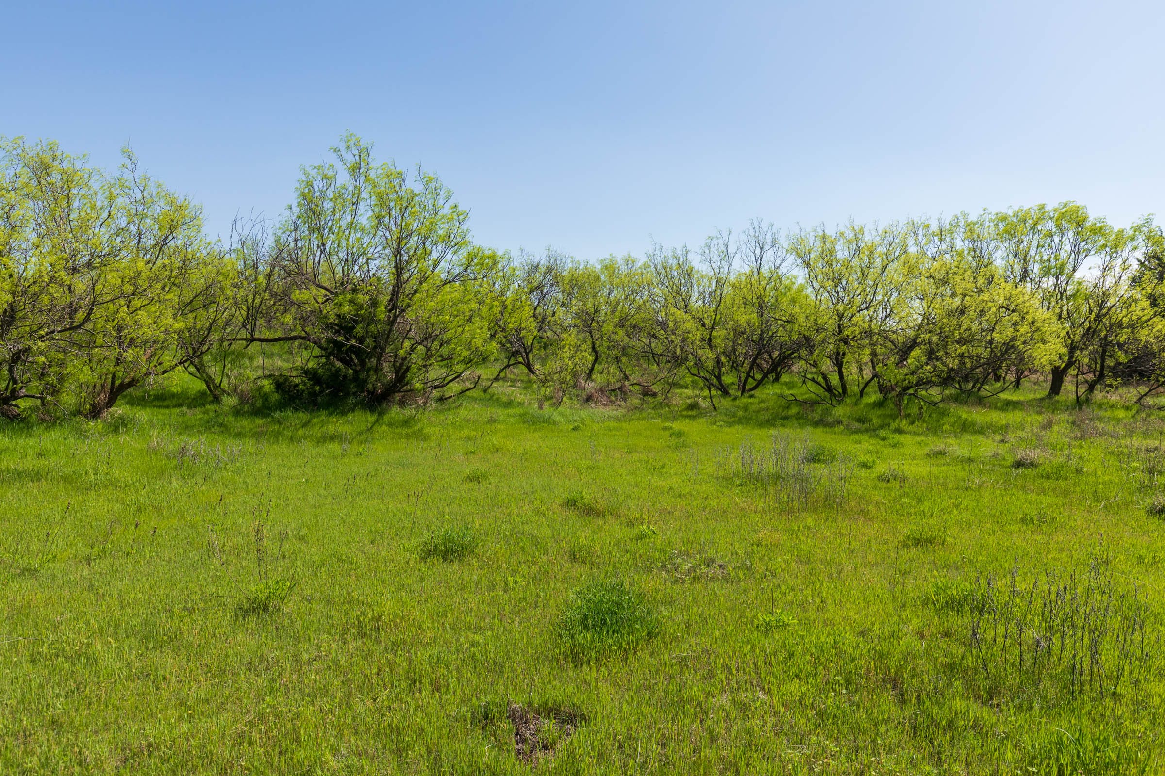 Hackberry Fields Tract 18 photo 14