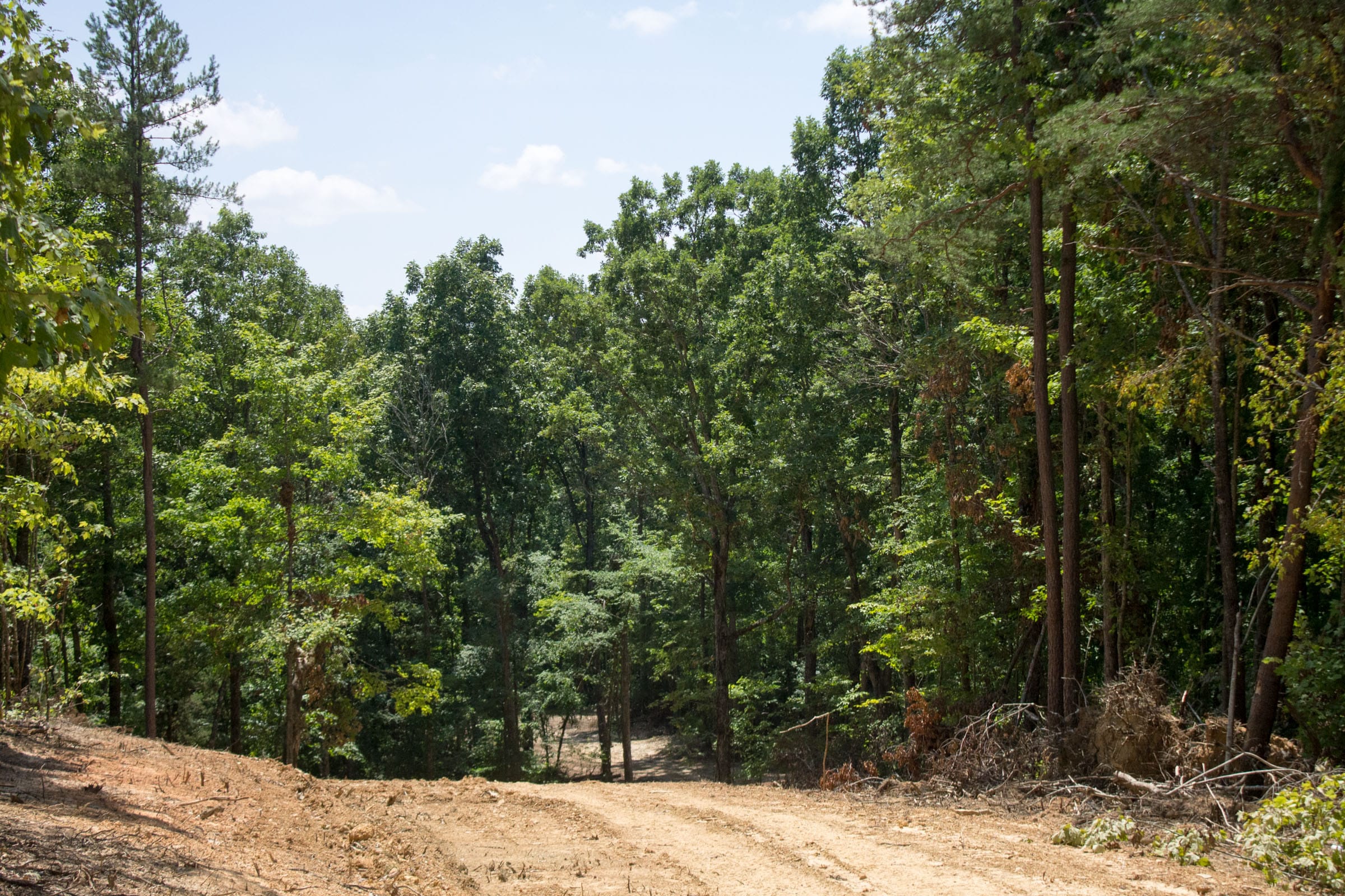 Buck Run Ridge Tract 15 photo 1