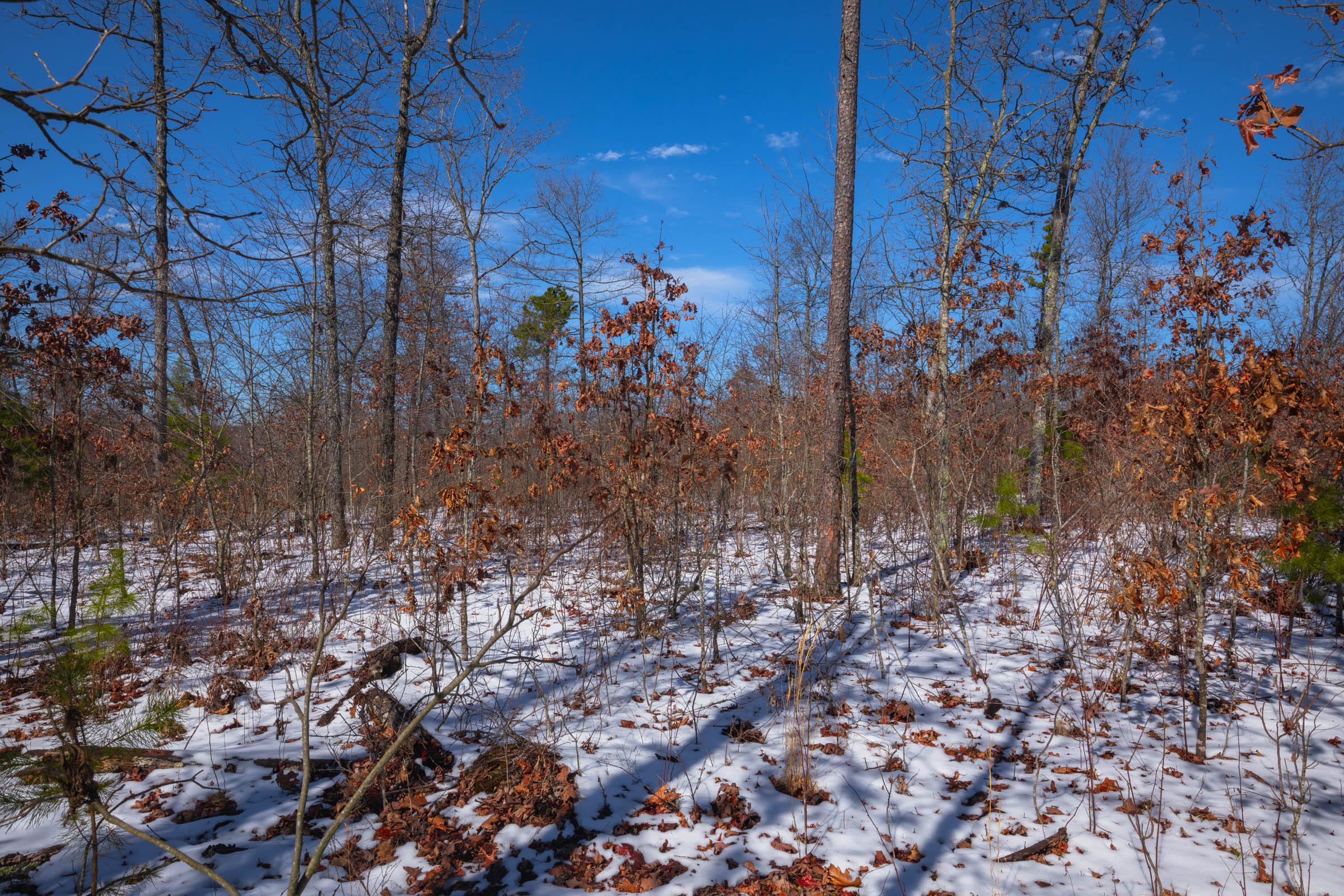Sleepy Hollow Phase I Tract 38 photo 4