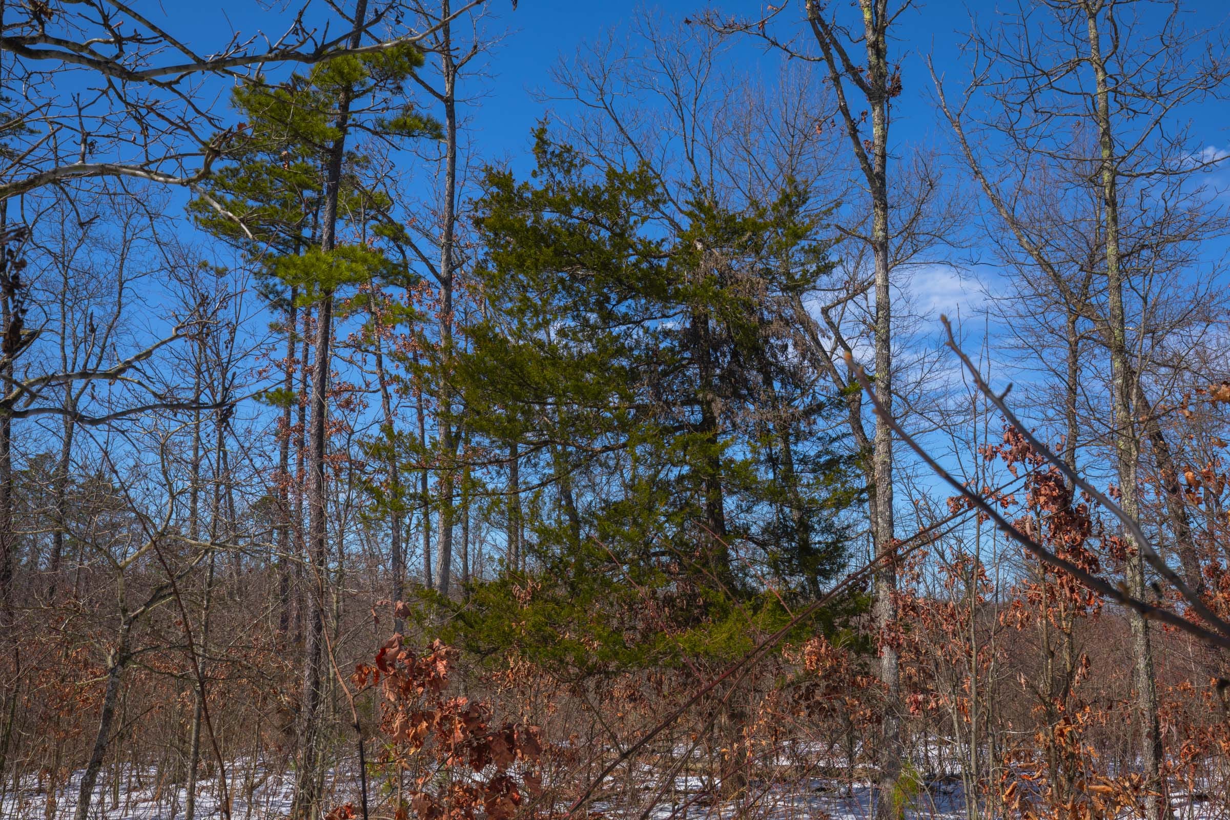 Sleepy Hollow Phase I Tract 38 photo 7