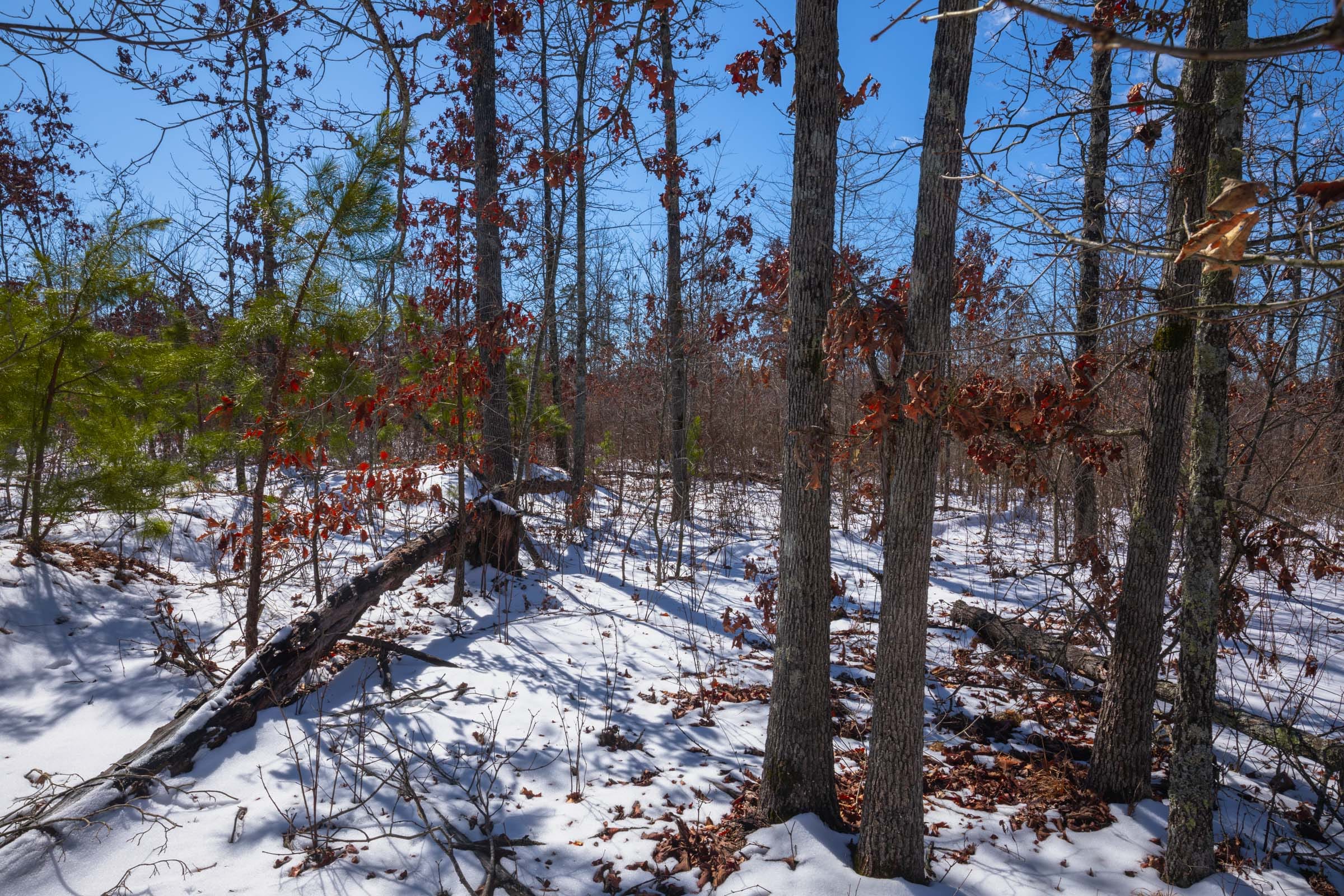 Sleepy Hollow Phase I Tract 38 photo 5