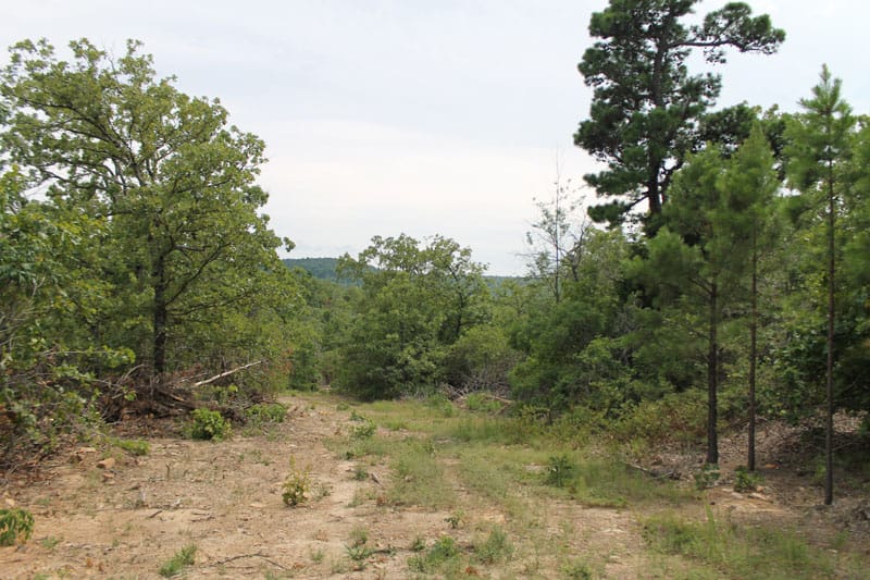 Trophy Ridge Phase III Tract 19 photo 1