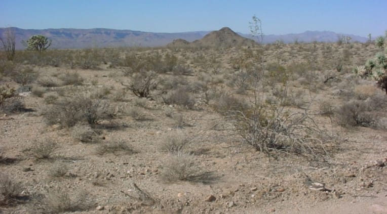 Mohave County Tract 5 photo 4