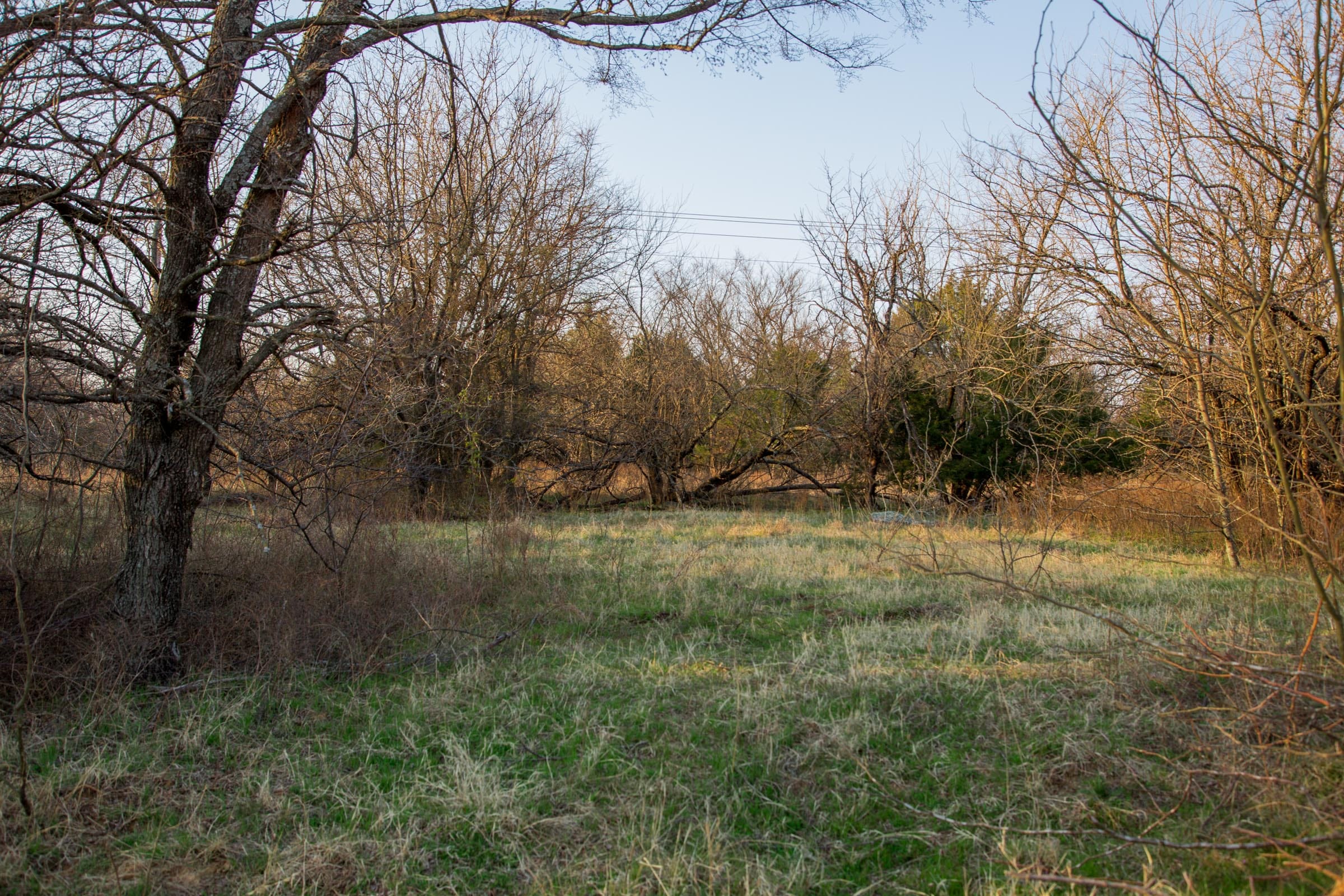 Eufaula Cove Tract 13 photo 1