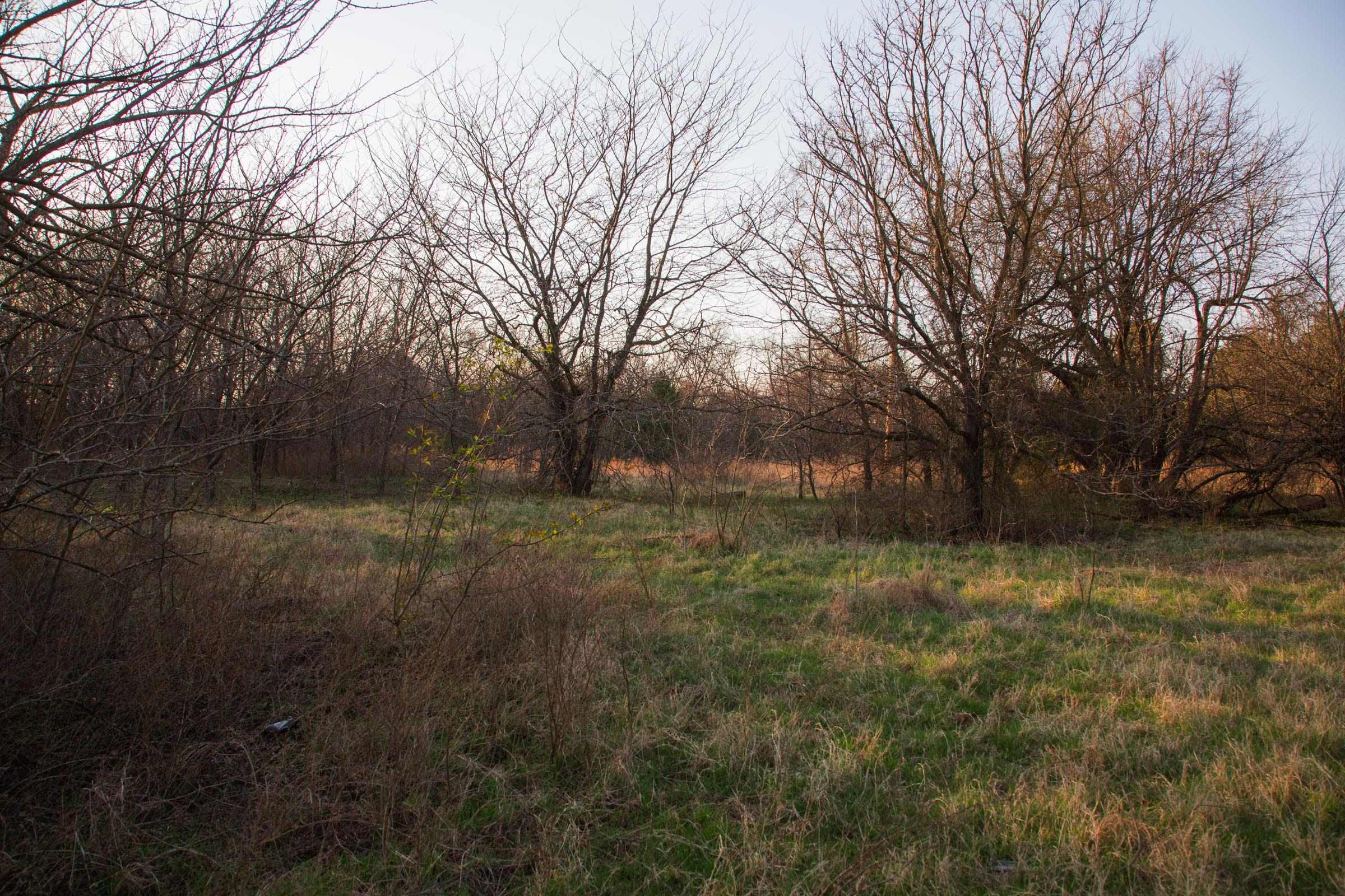 Eufaula Cove Tract 13 photo 2
