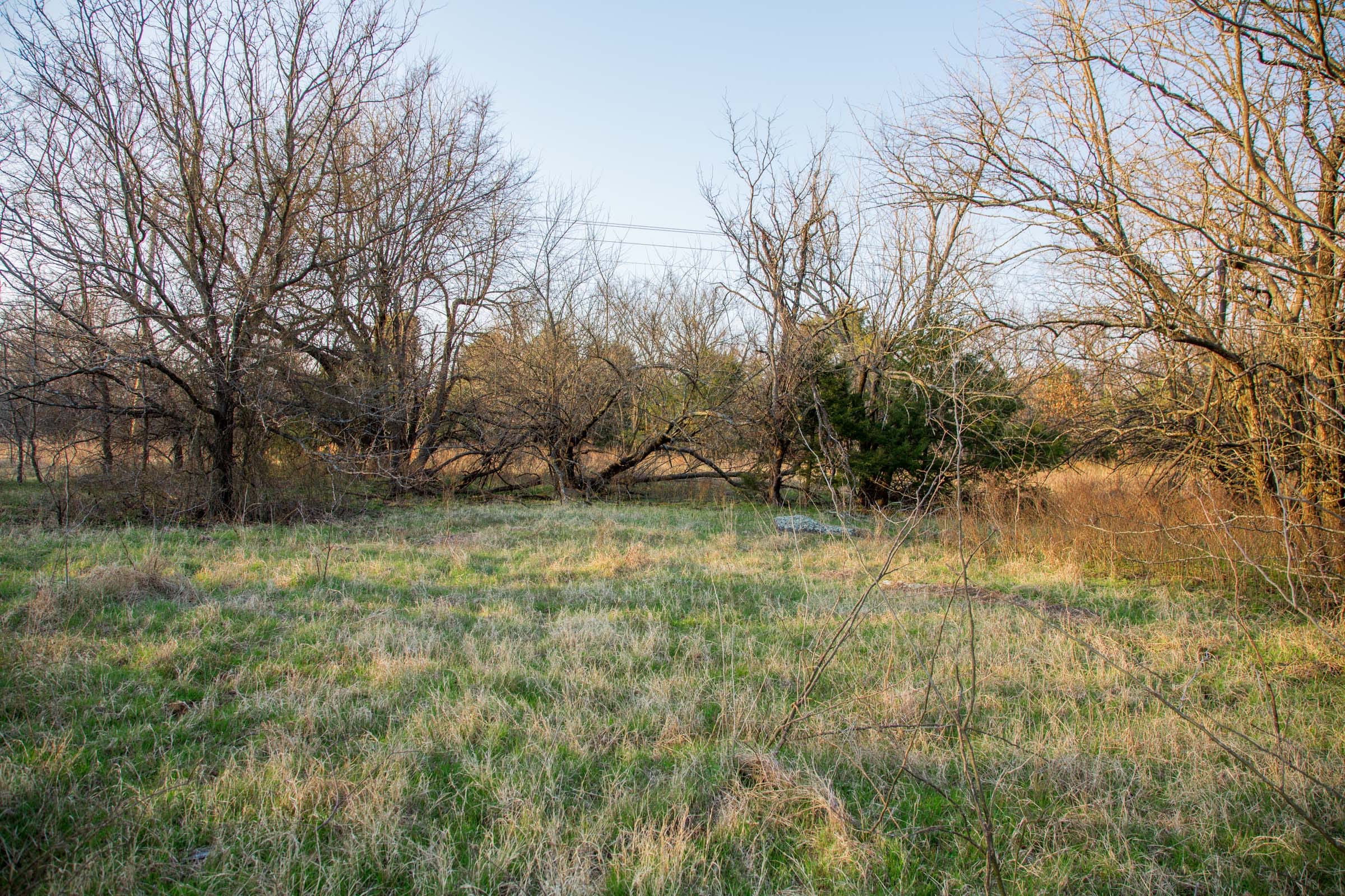 Eufaula Cove Tract 13 photo 3