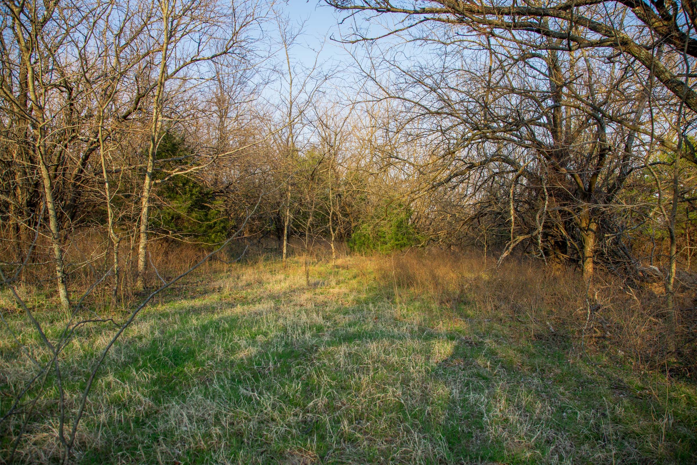 Eufaula Cove Tract 13 photo 4