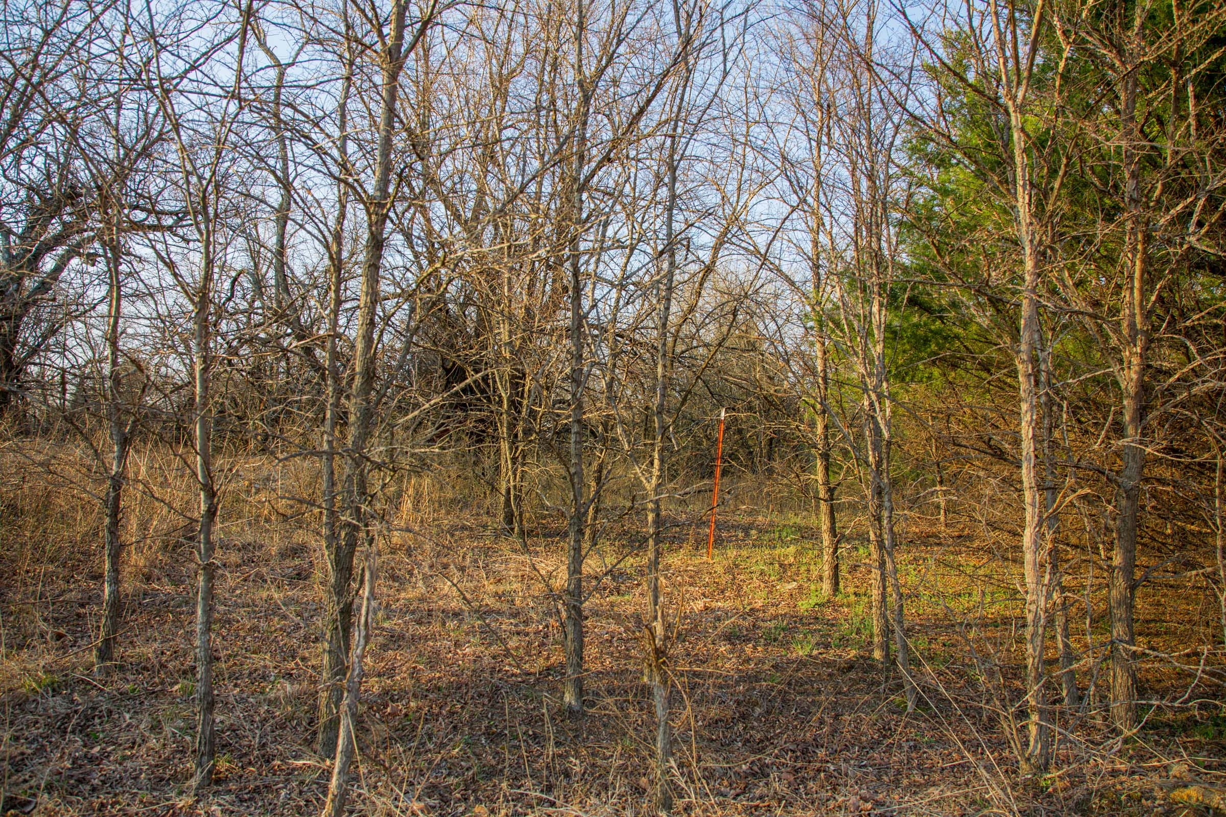 Eufaula Cove Tract 13 photo 5