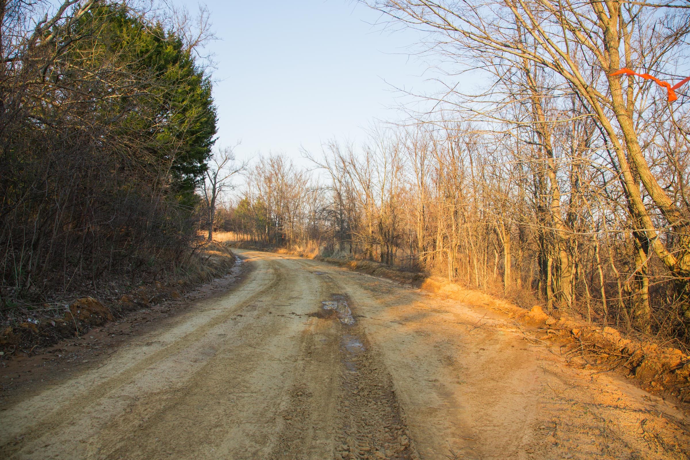 Eufaula Cove Tract 13 photo 7