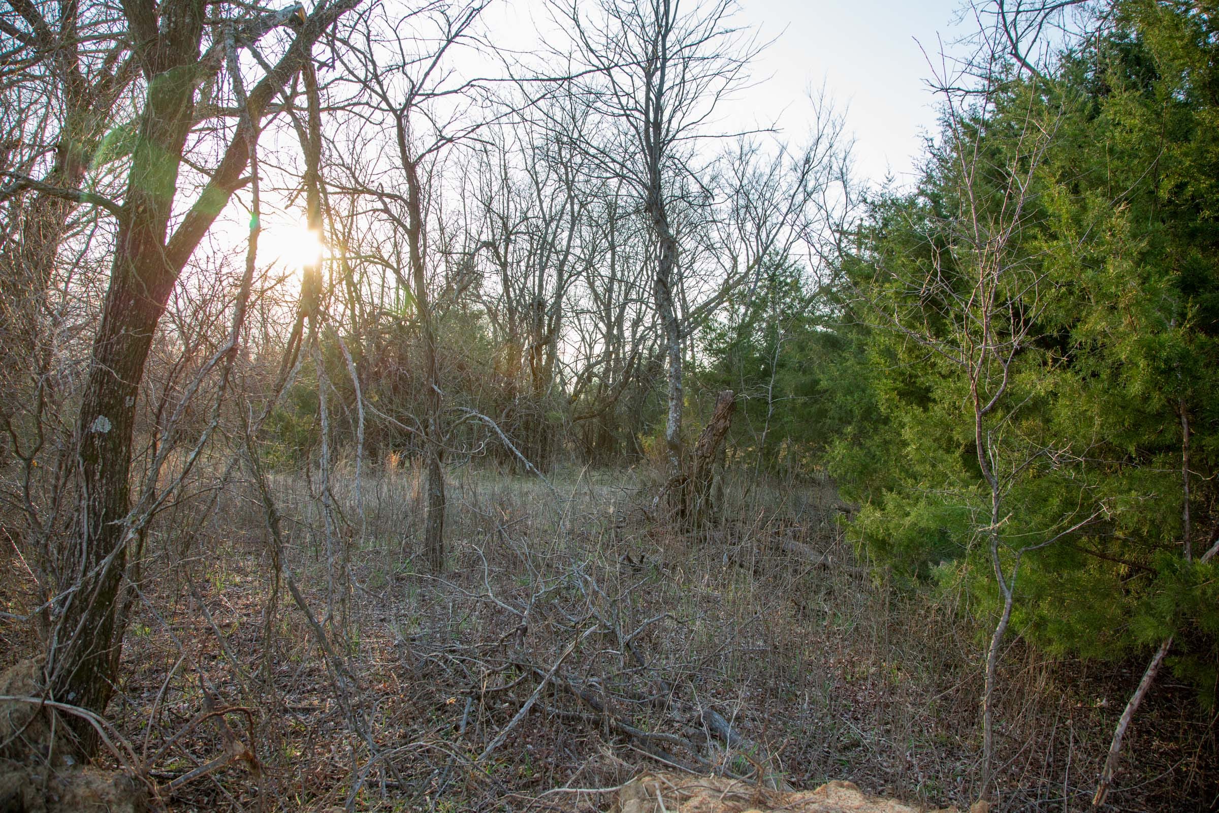 Eufaula Cove Tract 13 photo 8