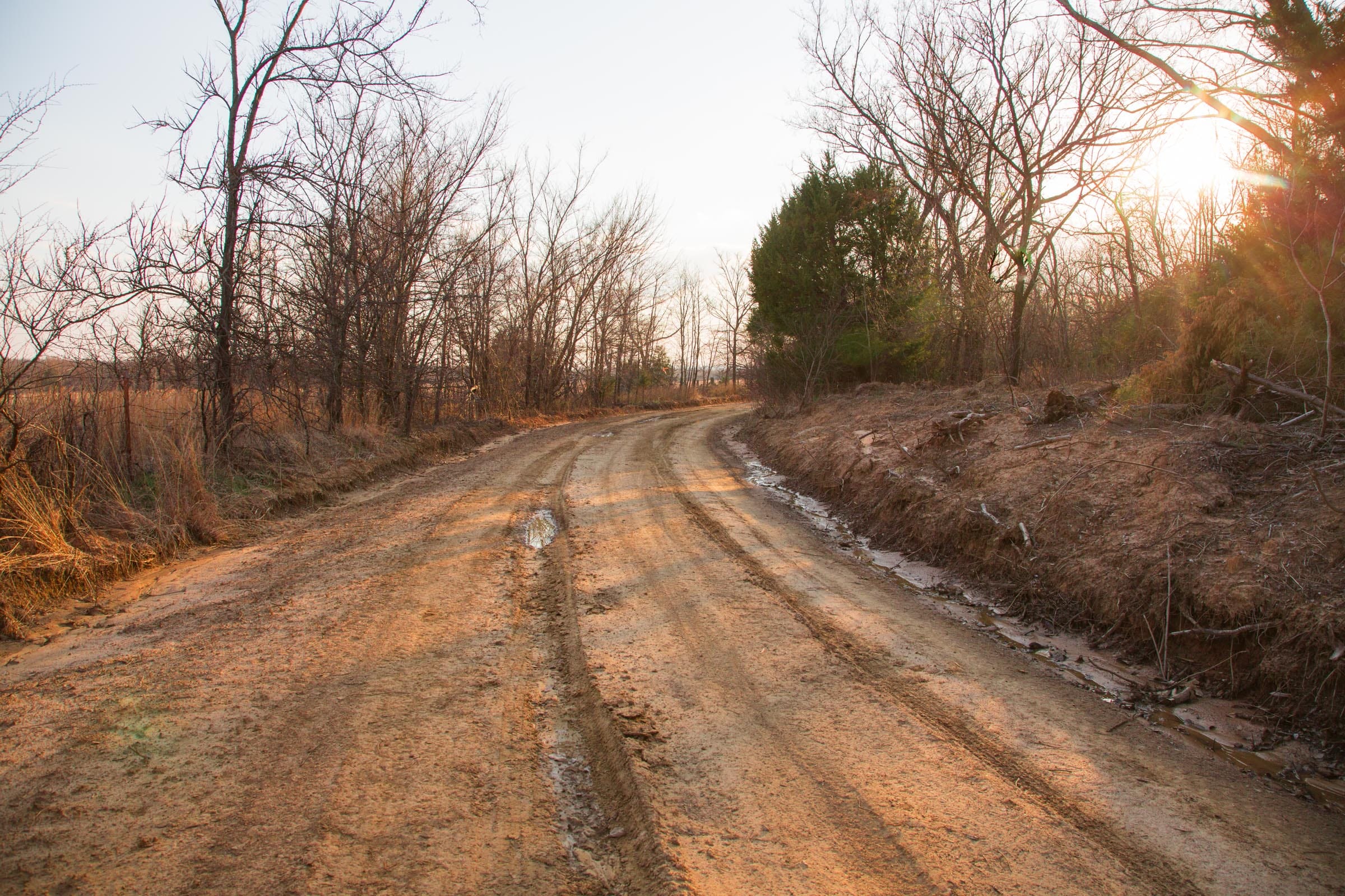 Eufaula Cove Tract 13 photo 9