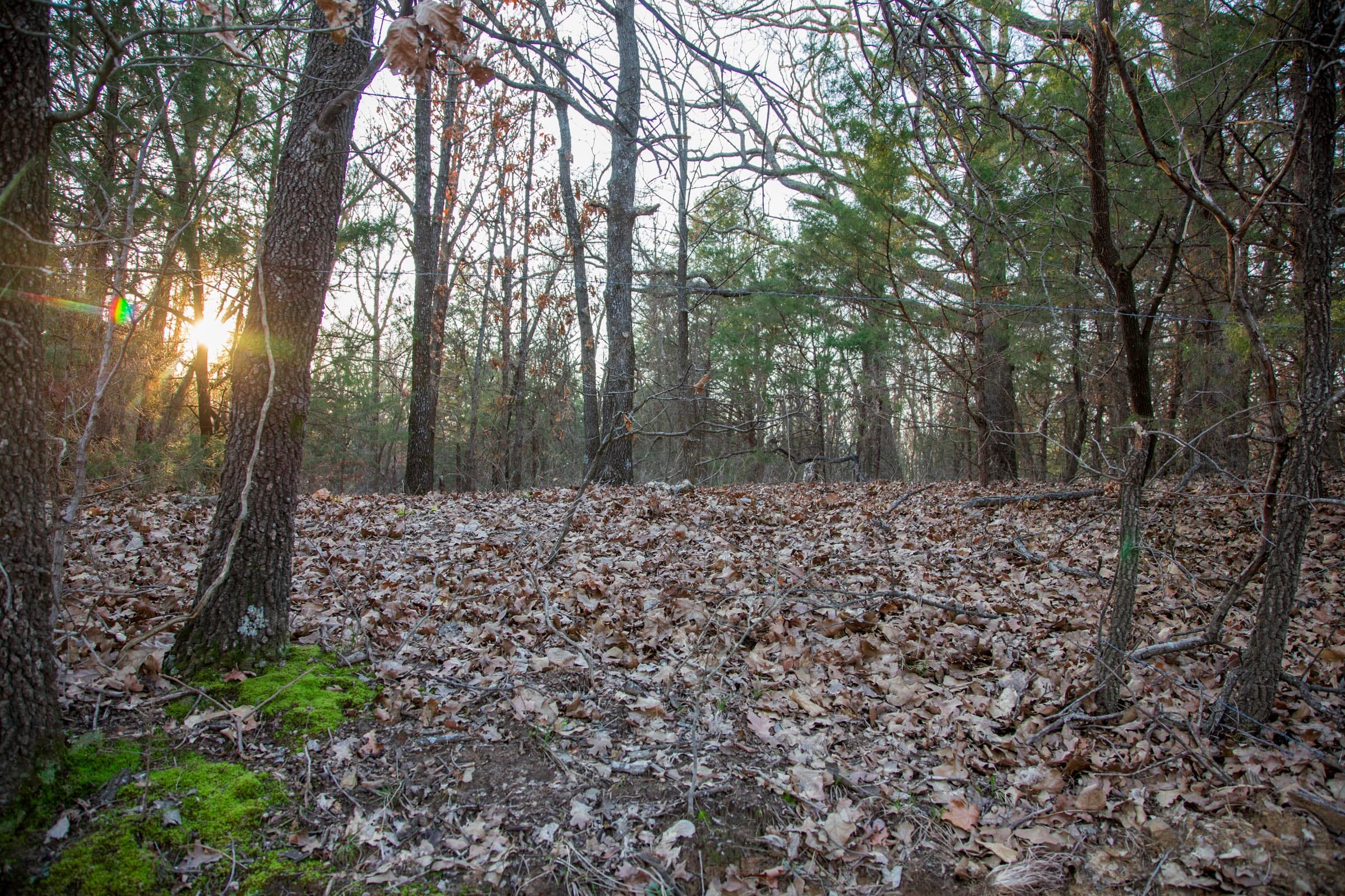 Eufaula Cove Tract 13 photo 12