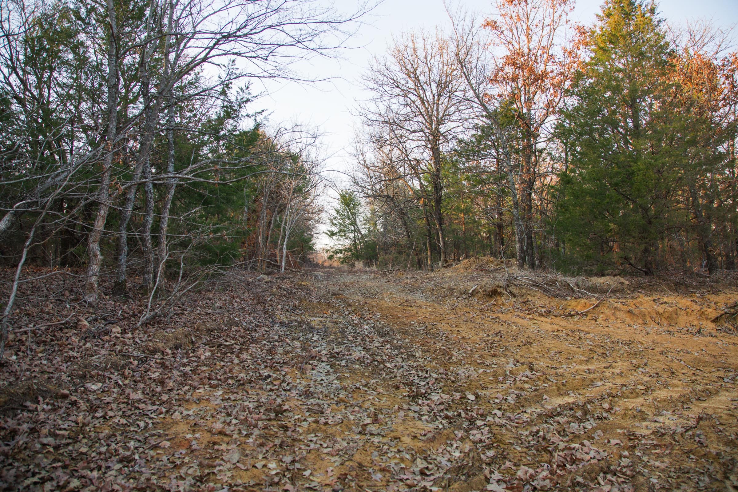 Eufaula Cove Tract 13 photo 13