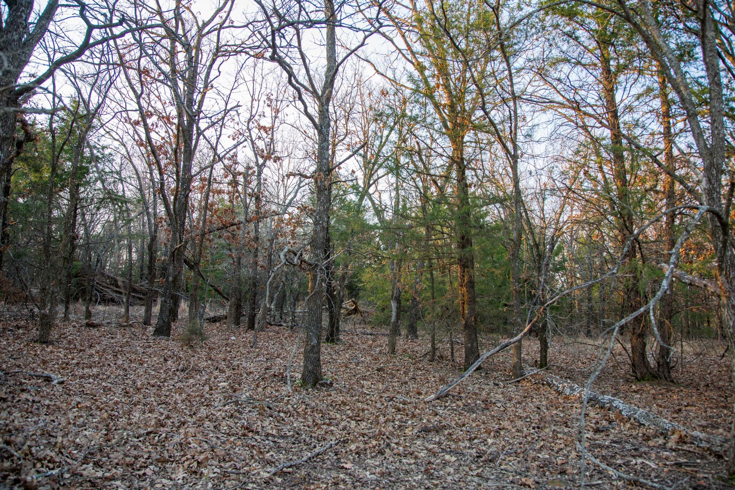 Eufaula Cove Tract 13 photo 14
